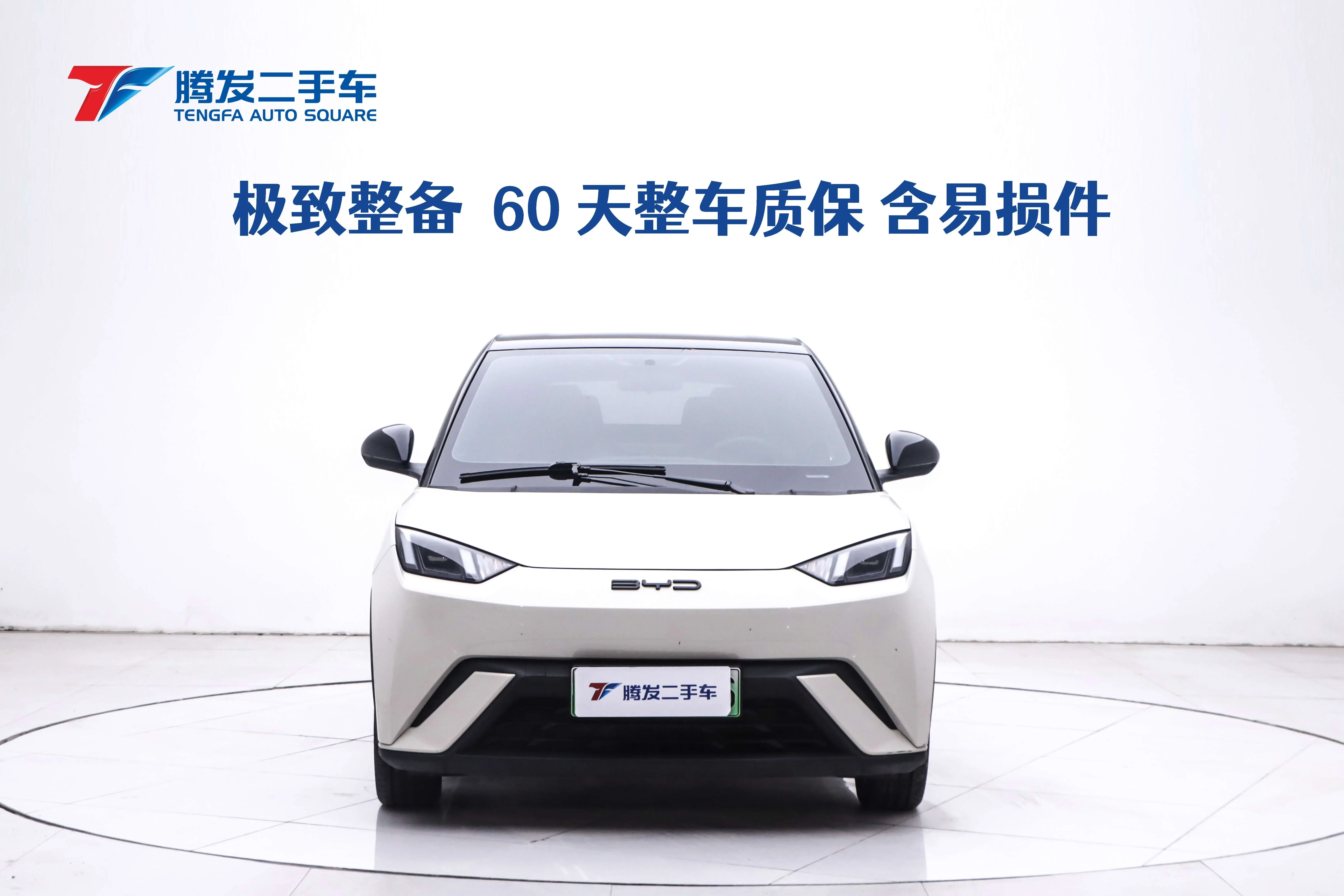 BYD seagull