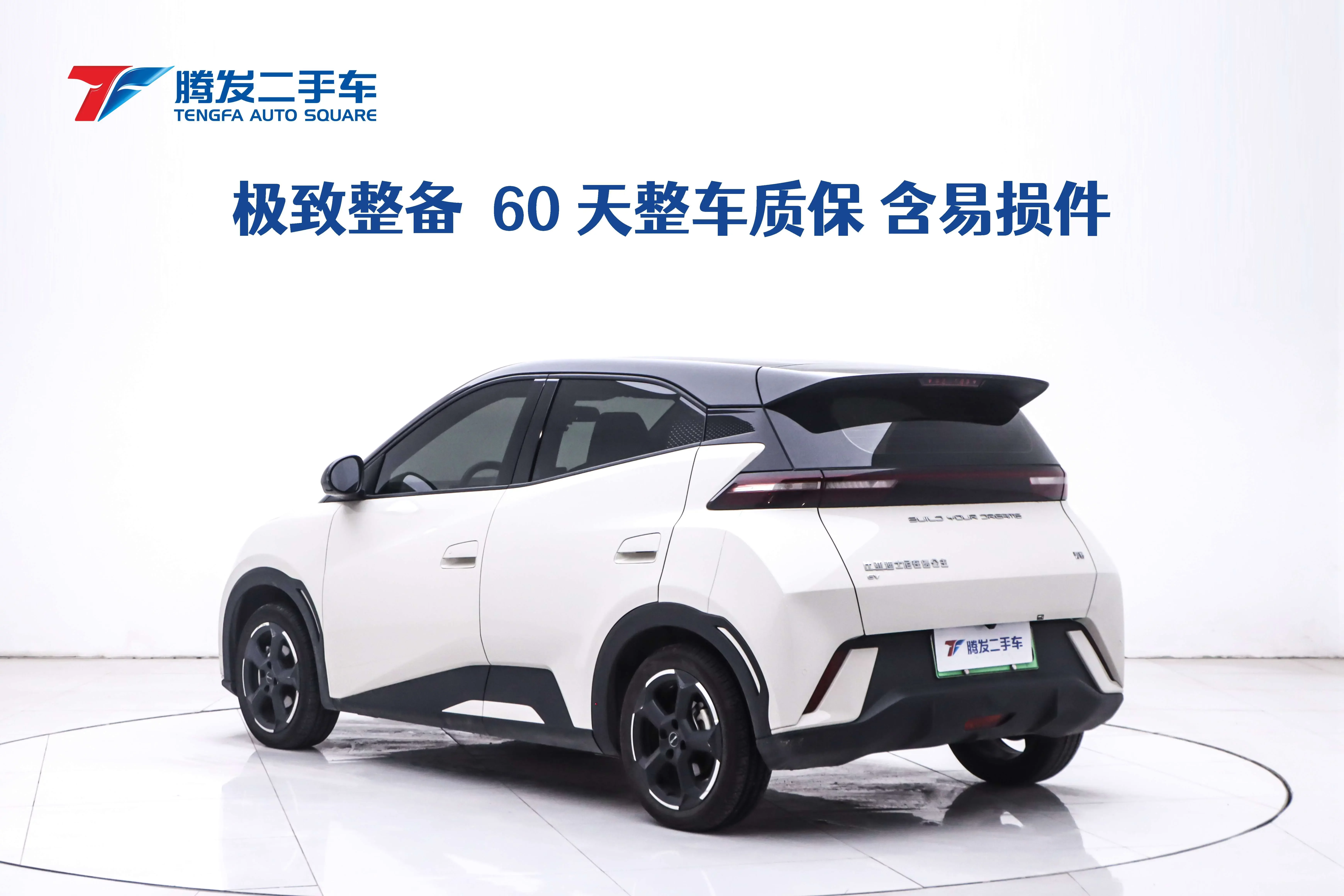 BYD seagull