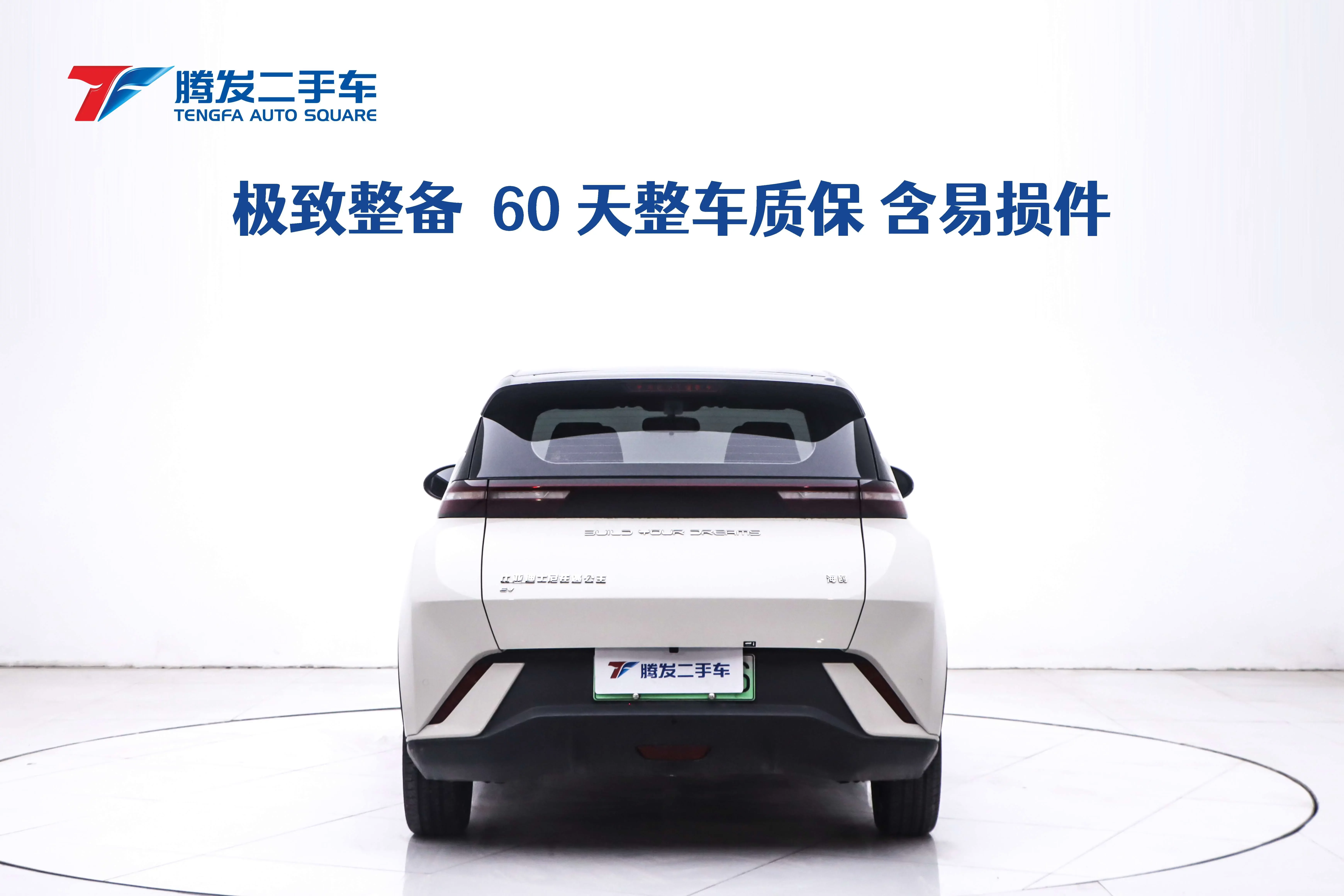 BYD seagull