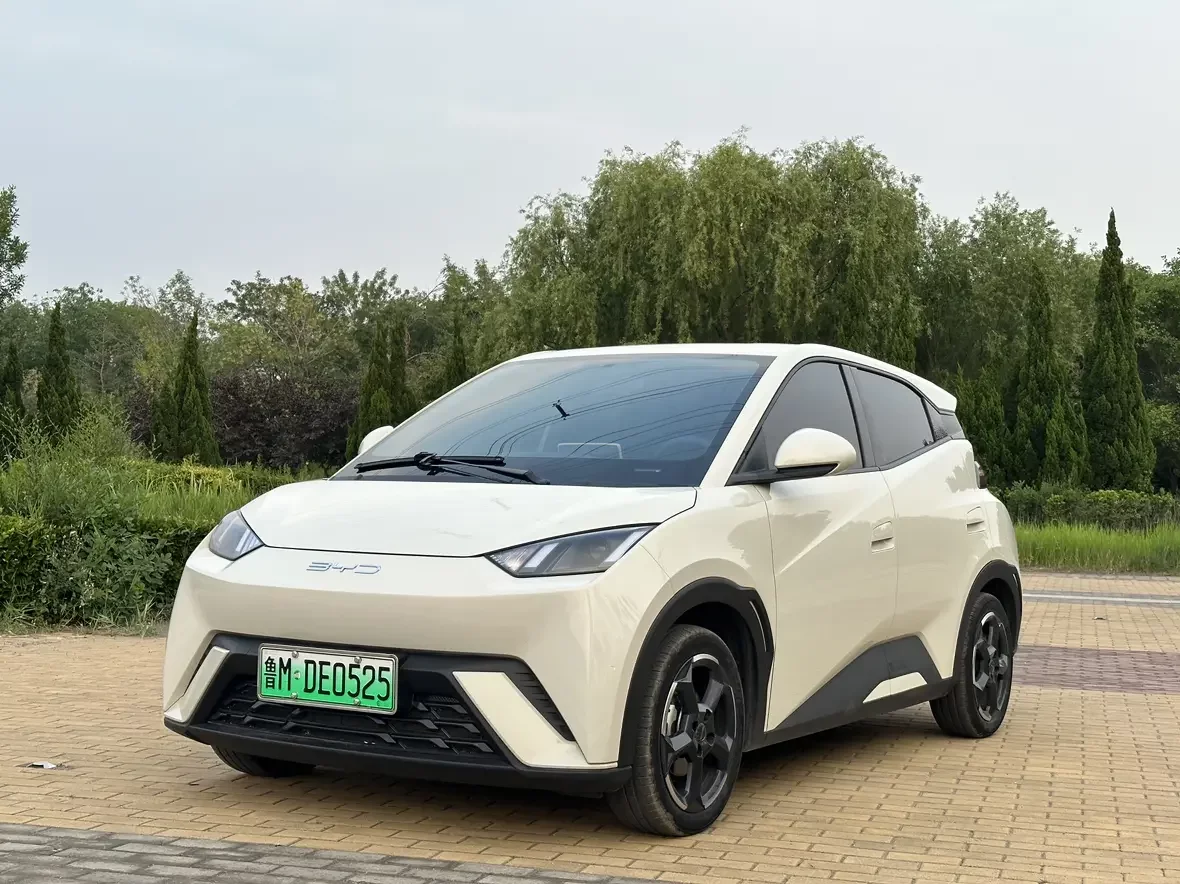 BYD seagull