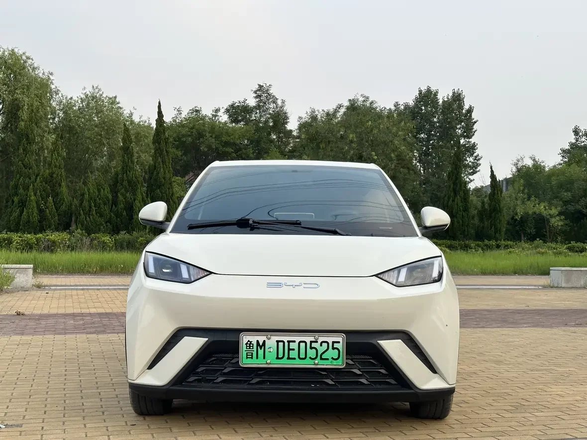 BYD seagull