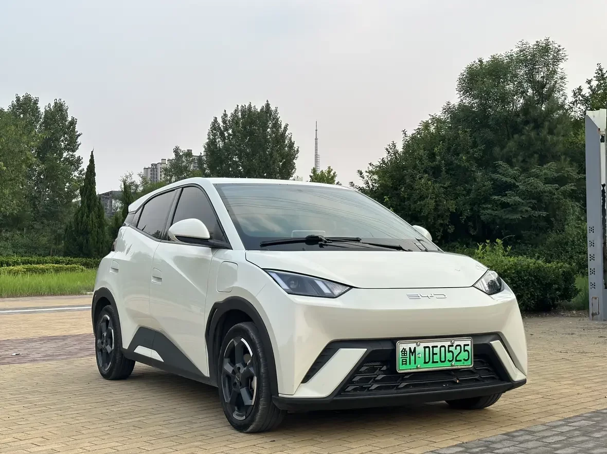 BYD seagull