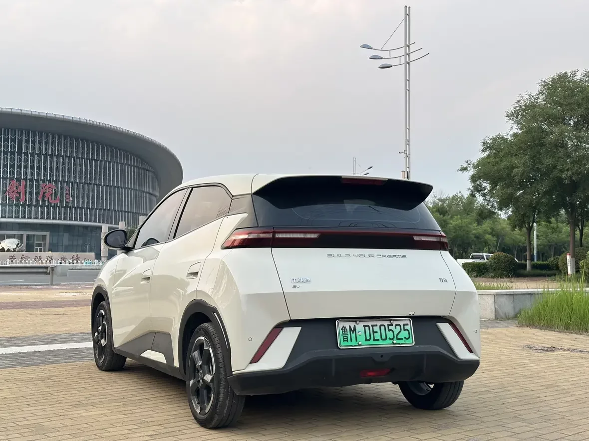 BYD seagull