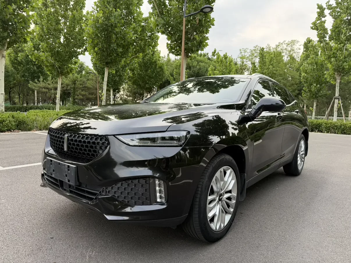 Wey Wei brand VV7
