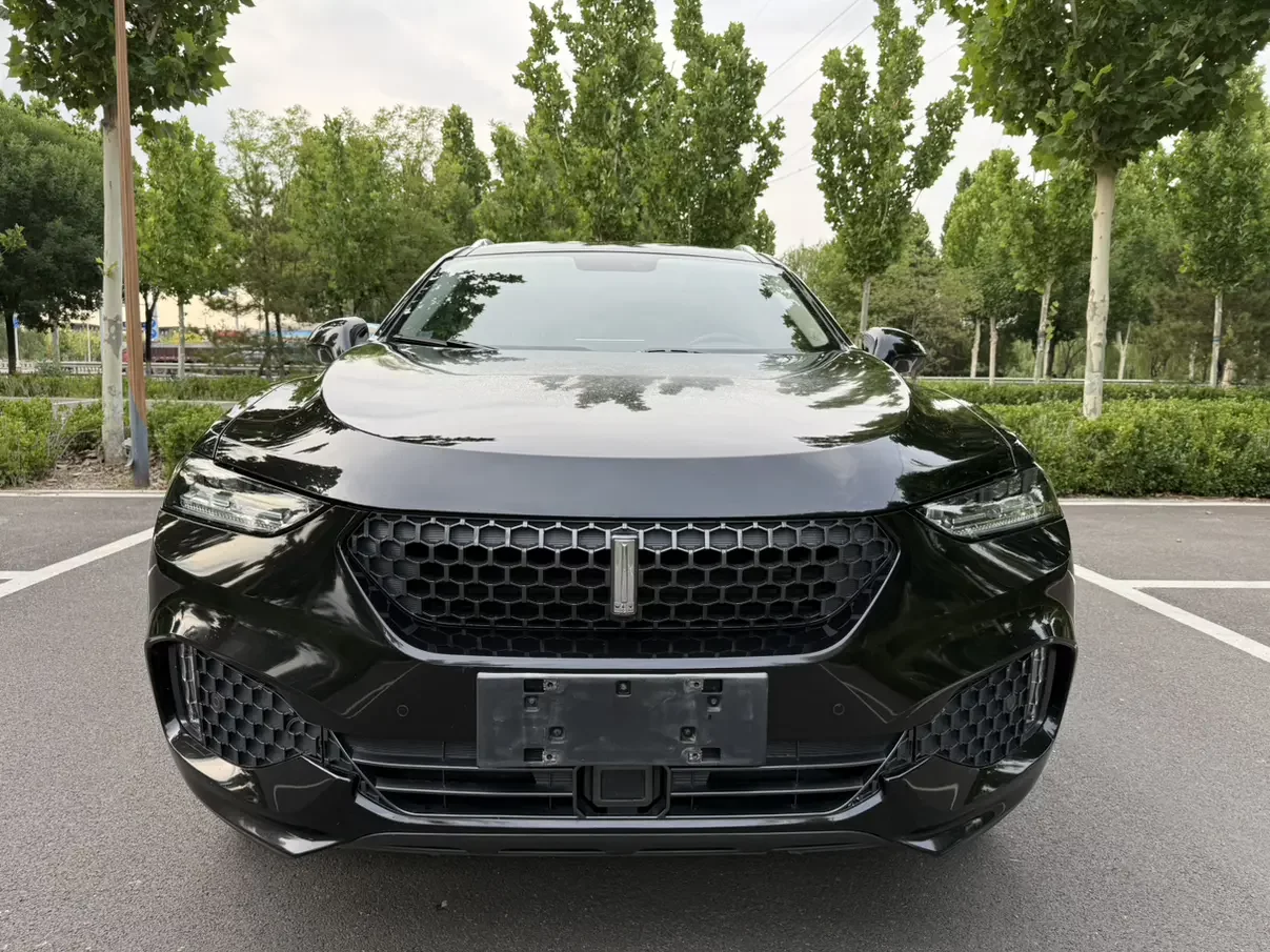 Wey Wei brand VV7