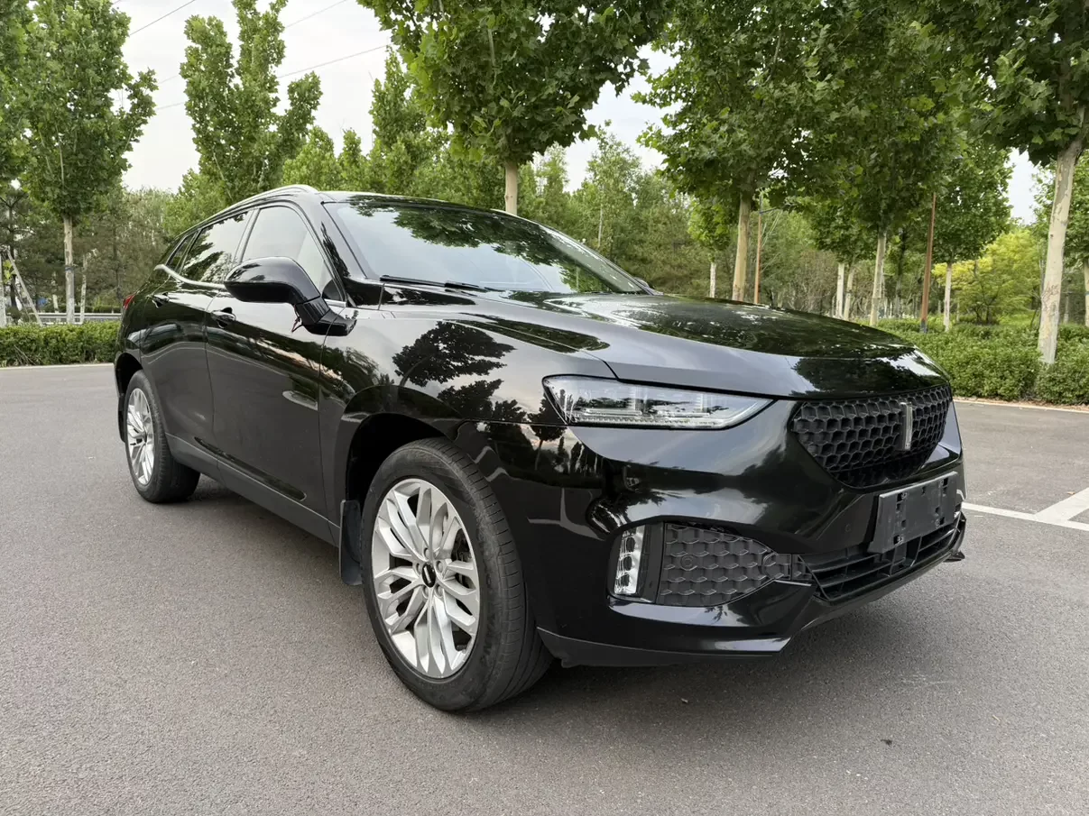 Wey Wei brand VV7