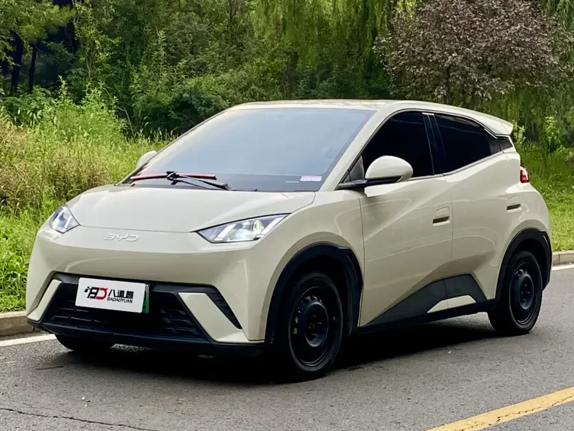 BYD seagull