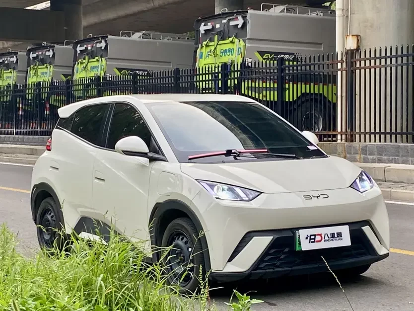 BYD seagull