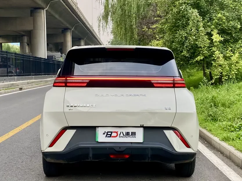 BYD seagull