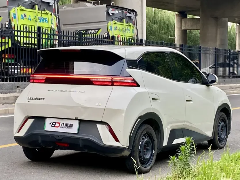 BYD seagull