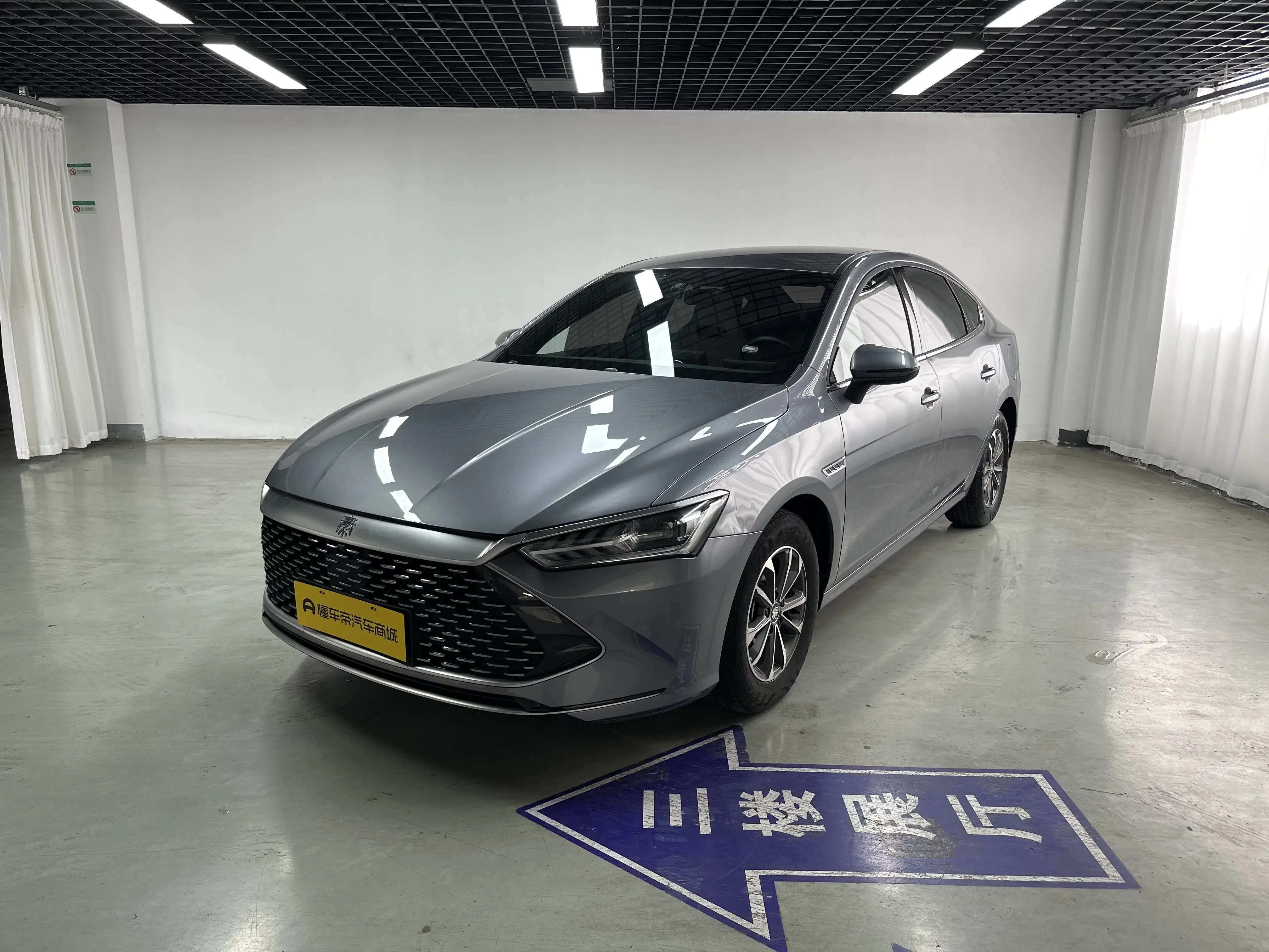 BYD Qin PLUS DM