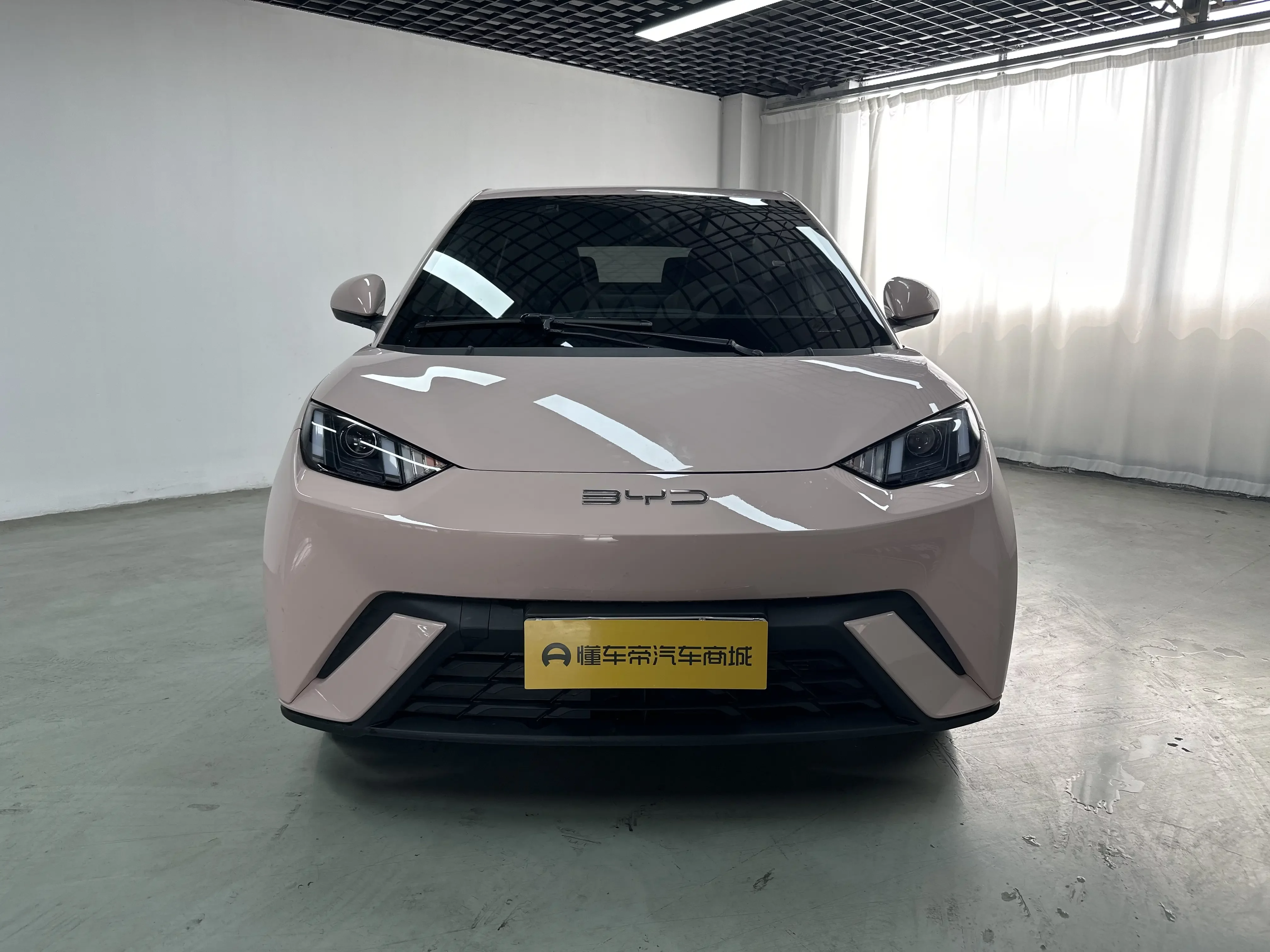 BYD seagull