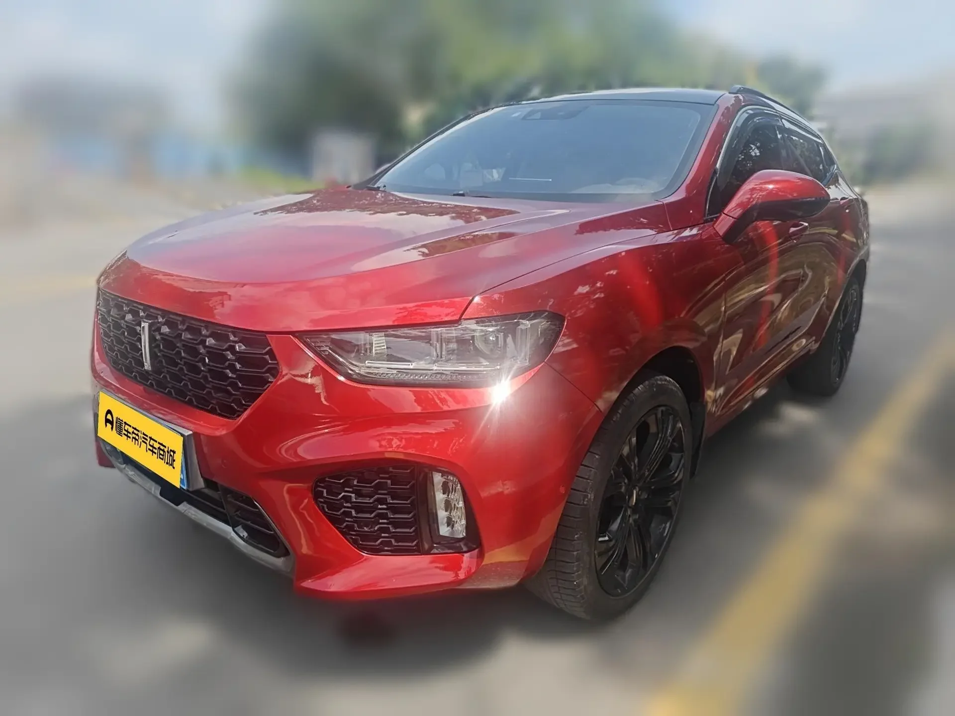 Wey Wei brand VV5