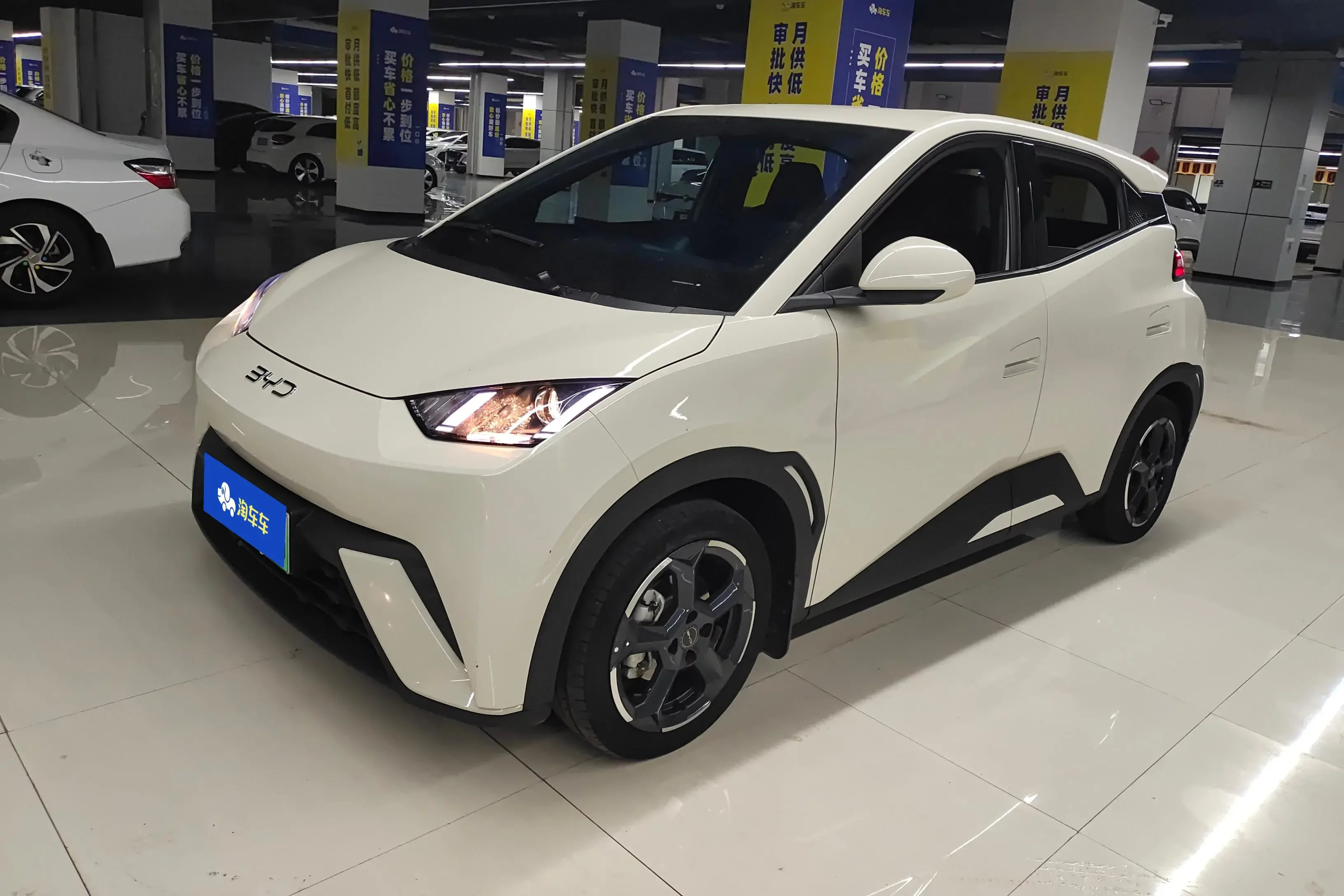 BYD seagull