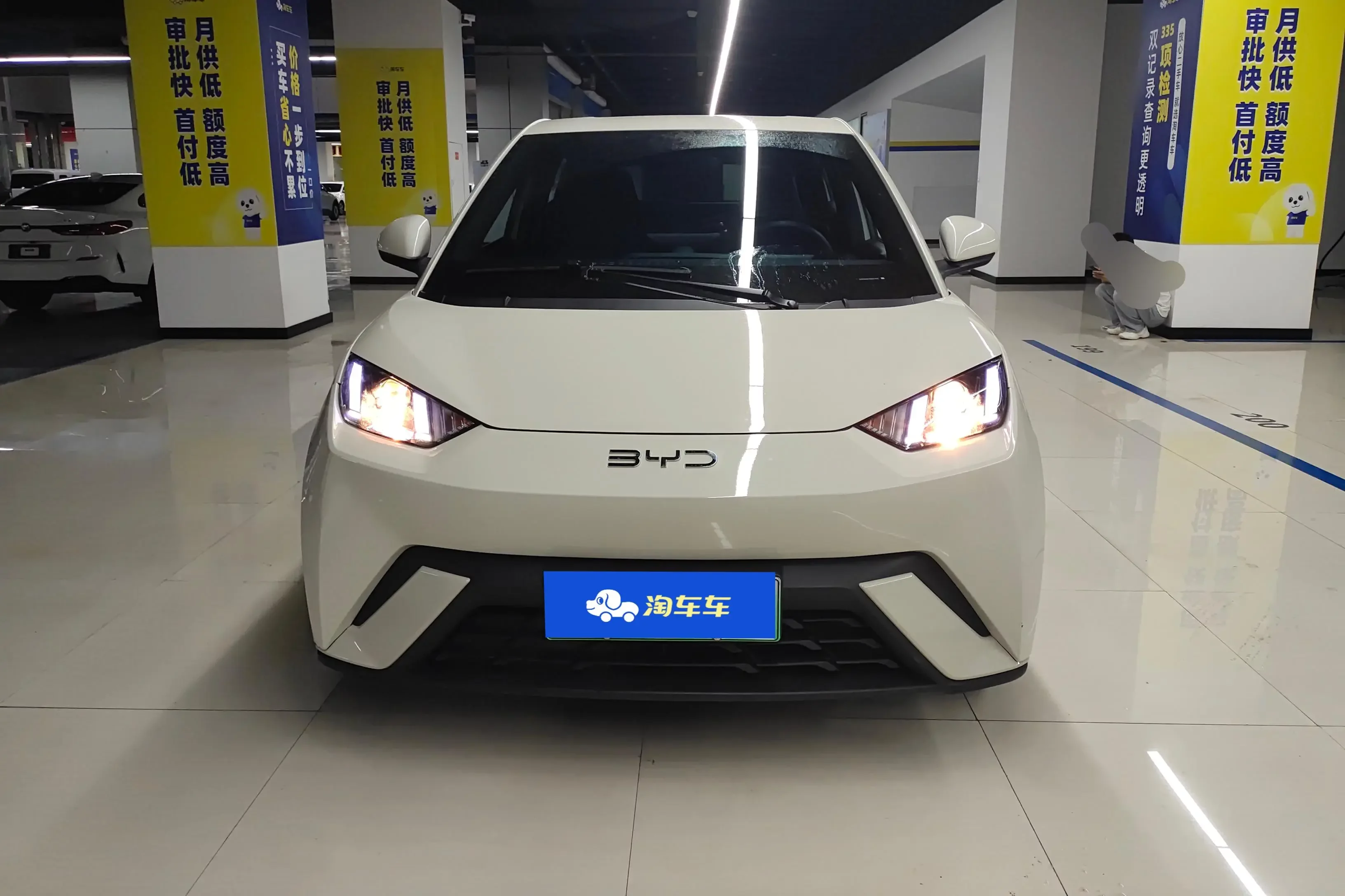 BYD seagull