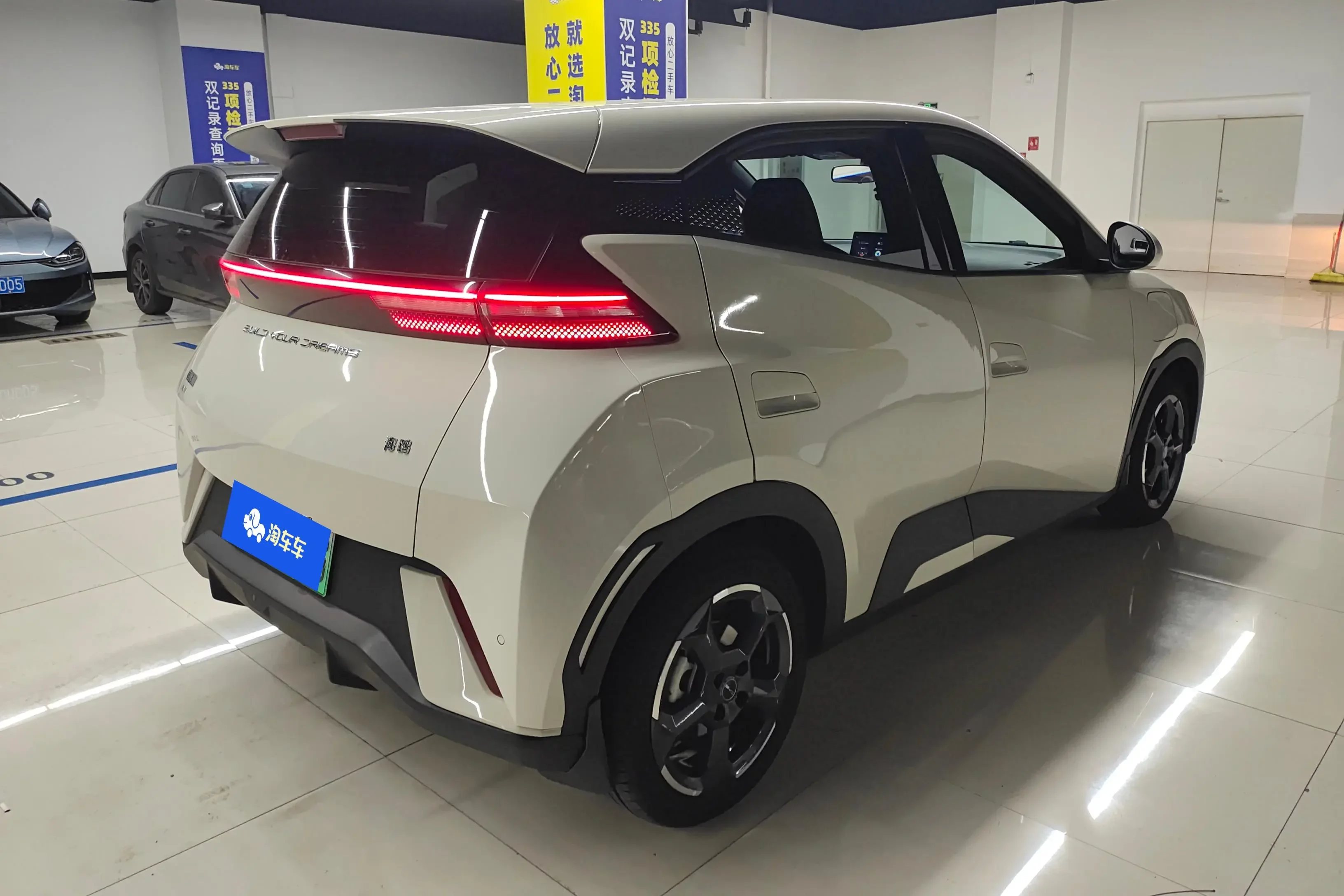 BYD seagull