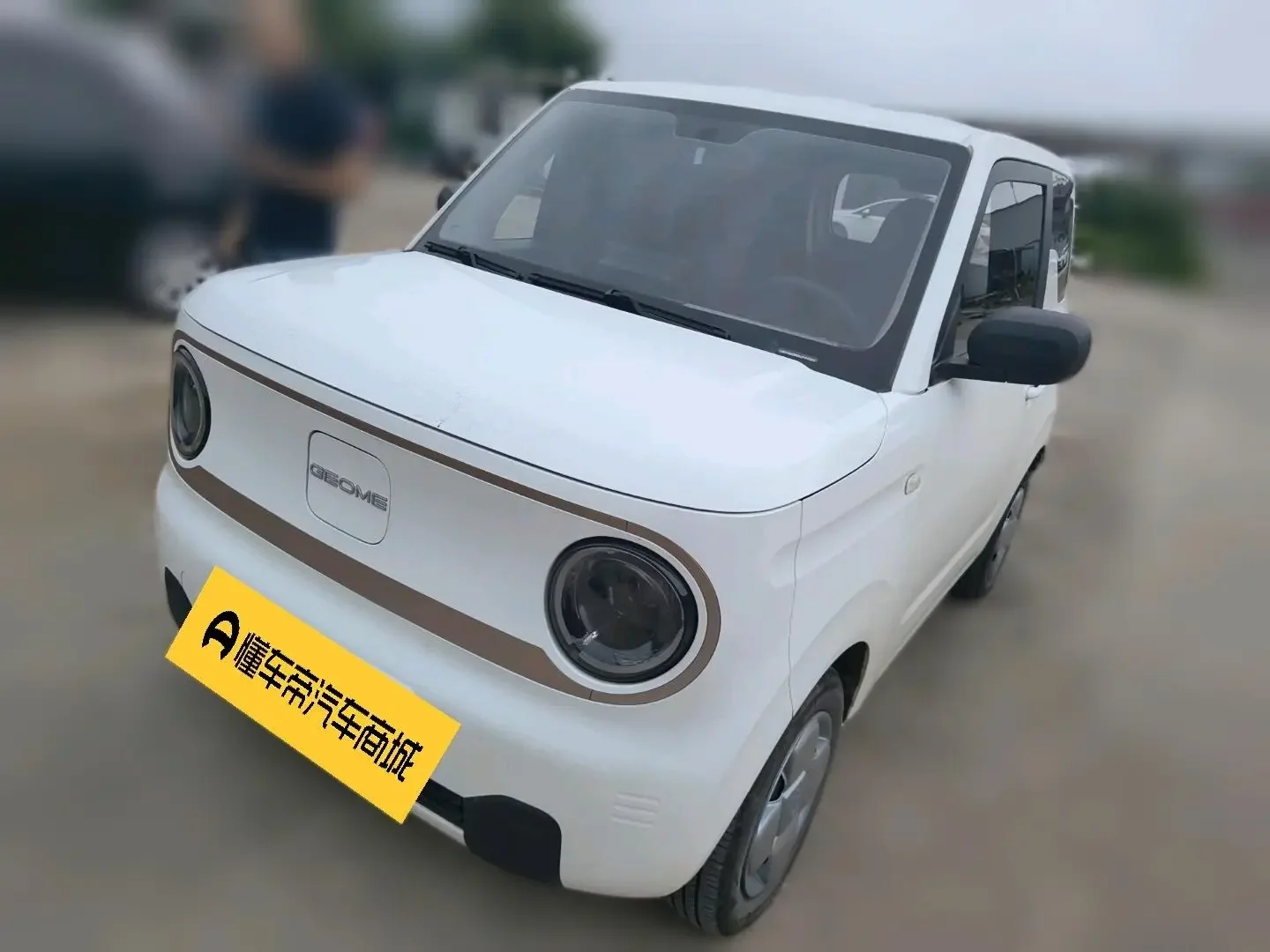 Geely panda