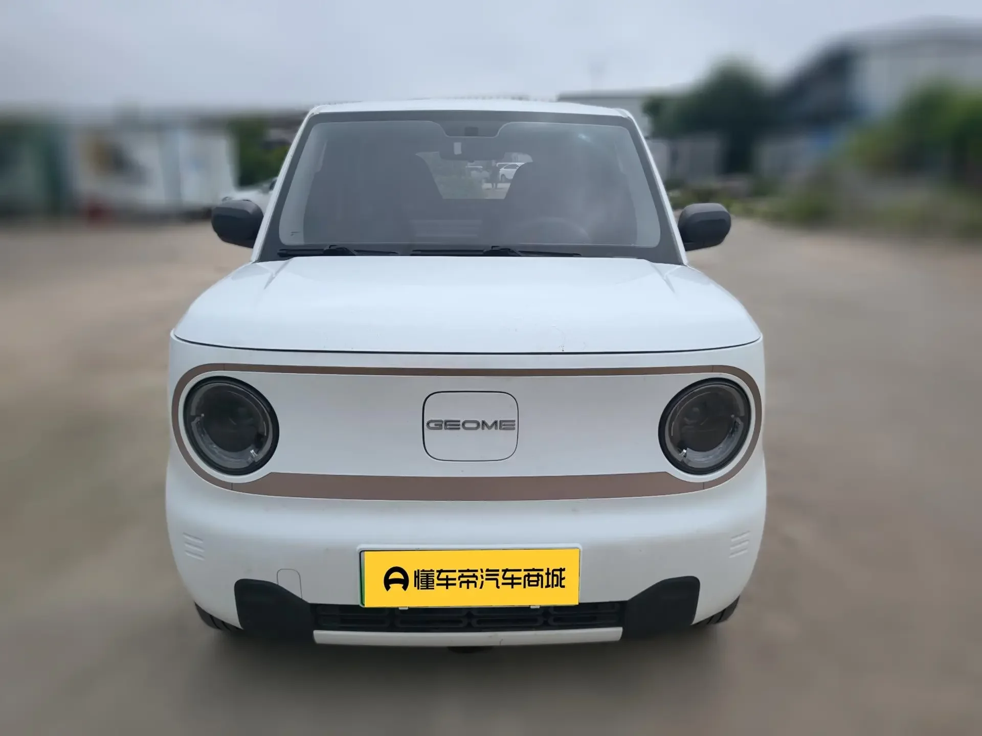 Geely panda