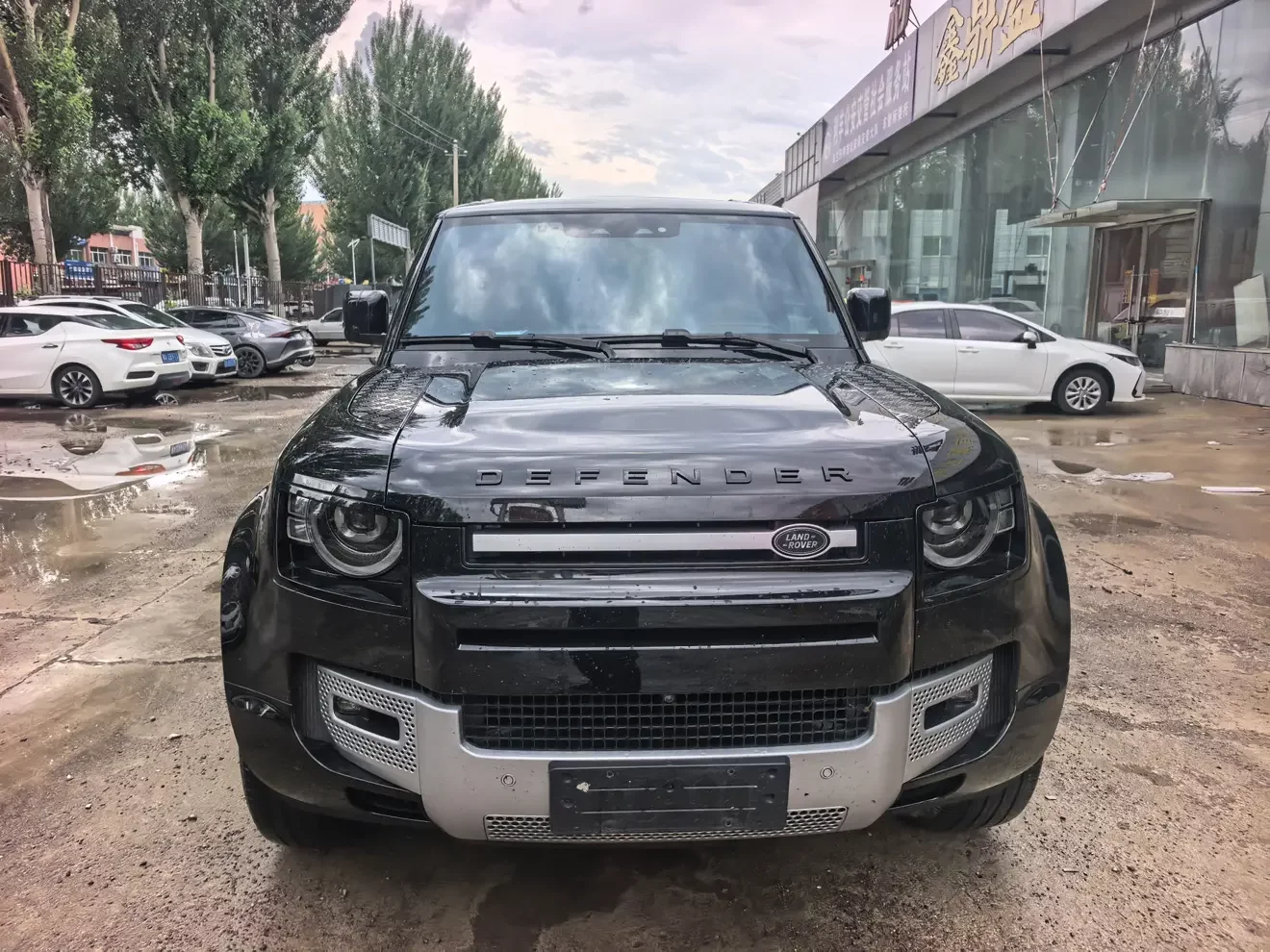 Land Rover guard