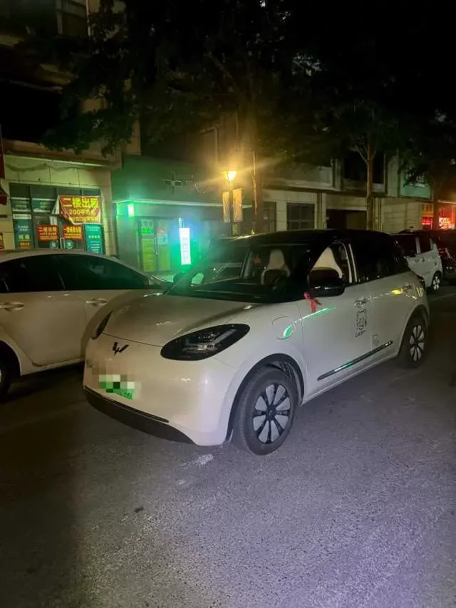 Wuling Bingo
