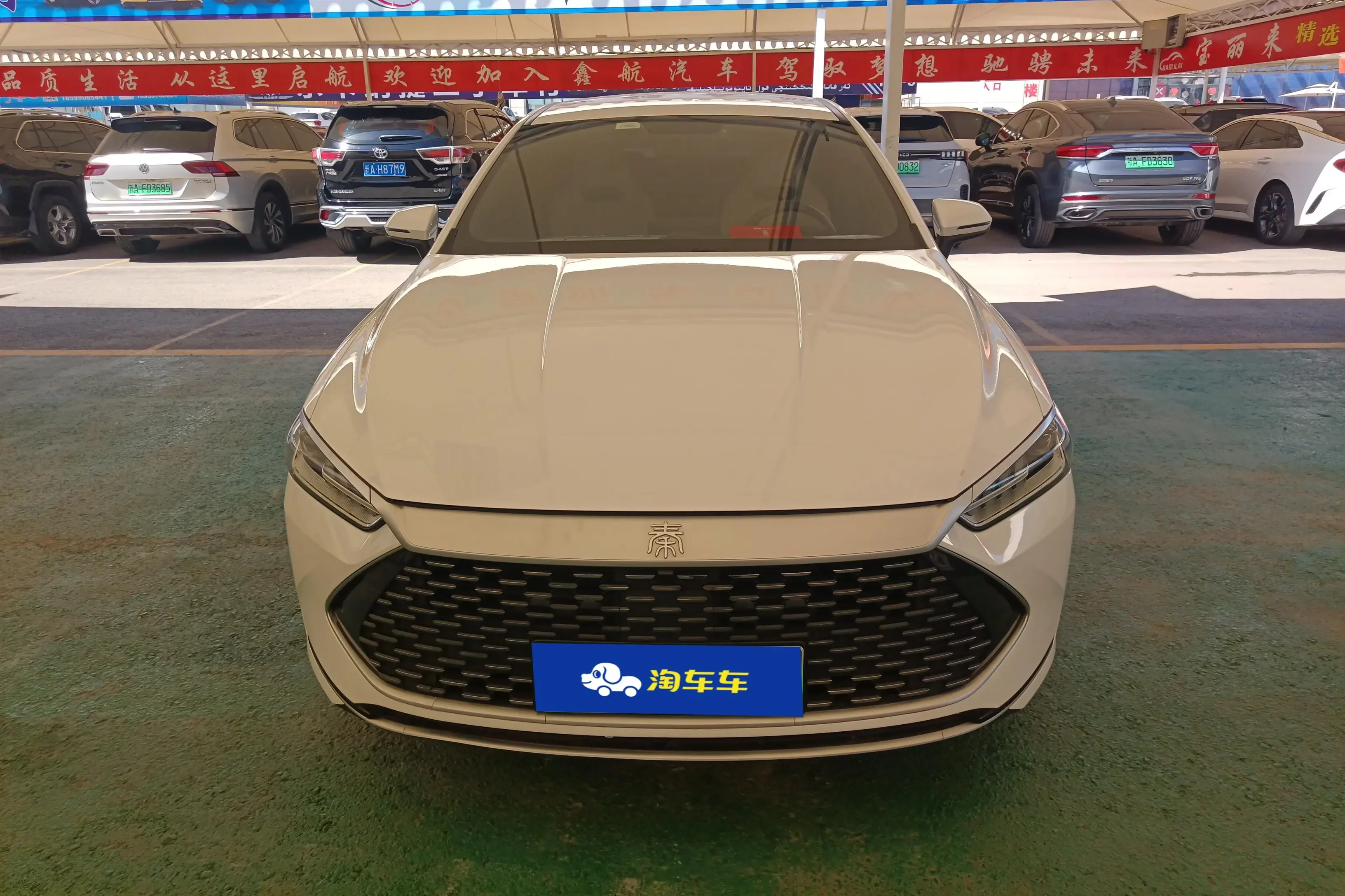 BYD Qin PLUS DM