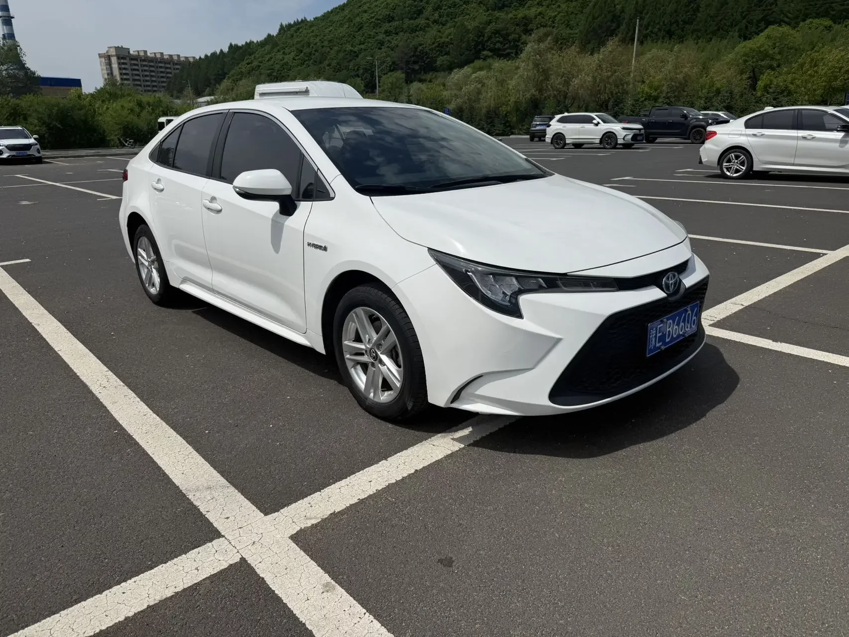 Toyota Levin
