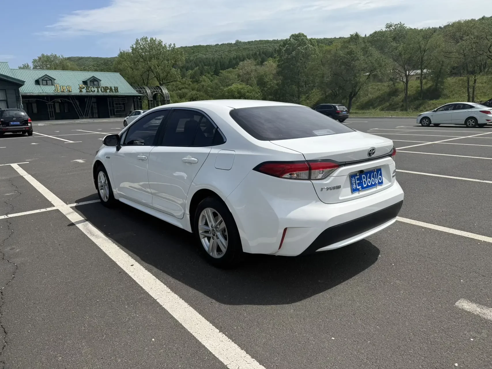 Toyota Levin