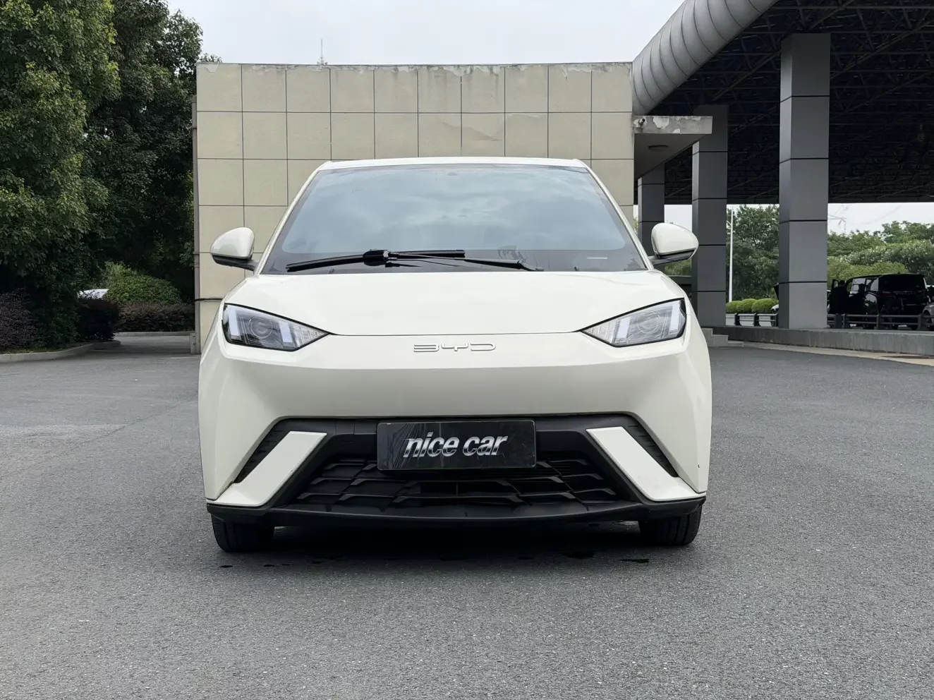 BYD seagull