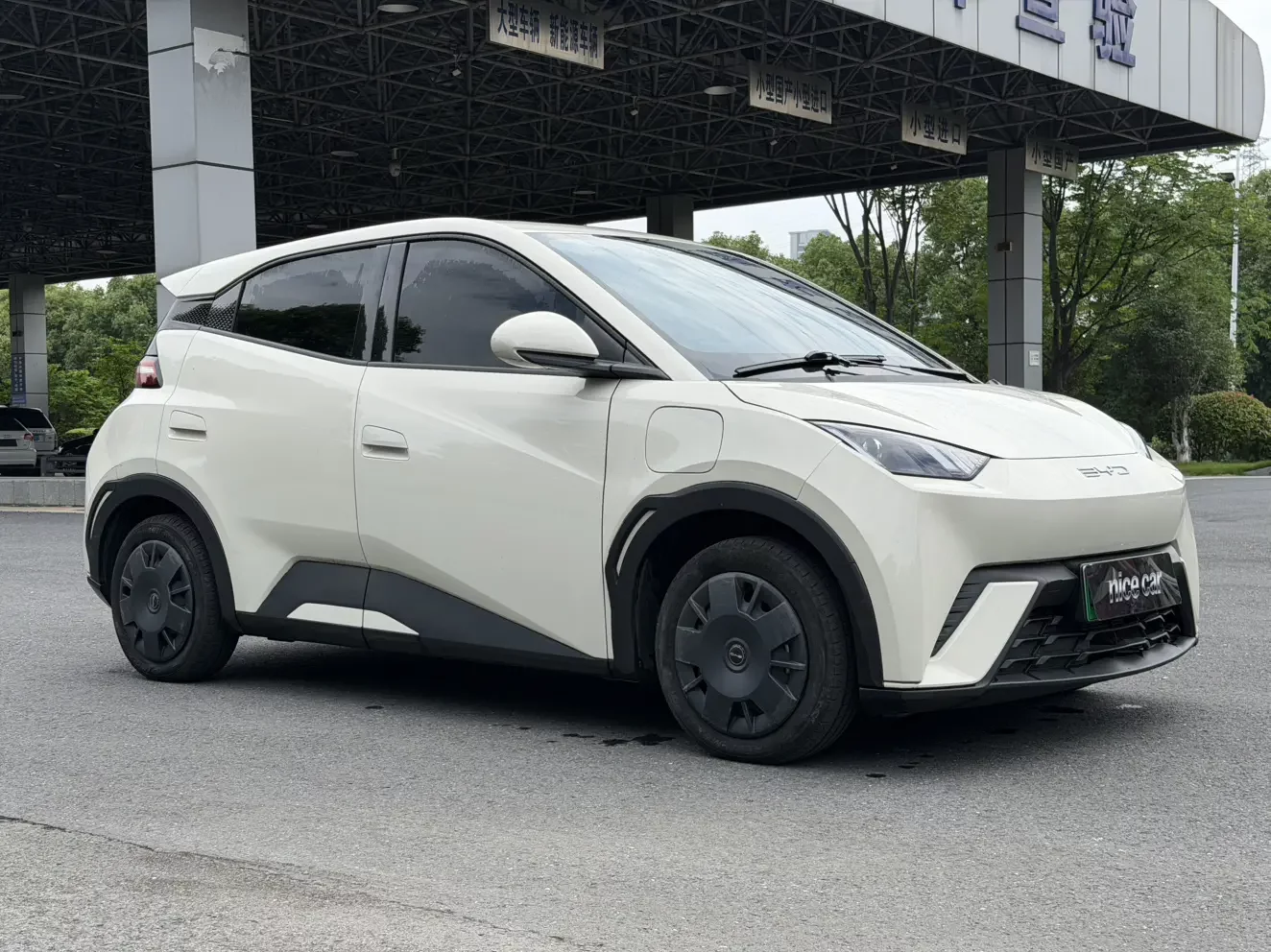BYD seagull
