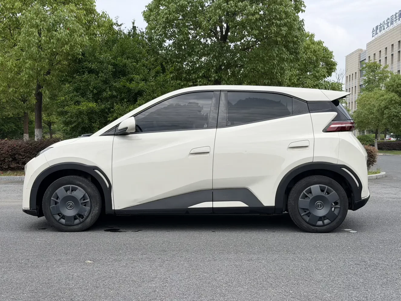 BYD seagull