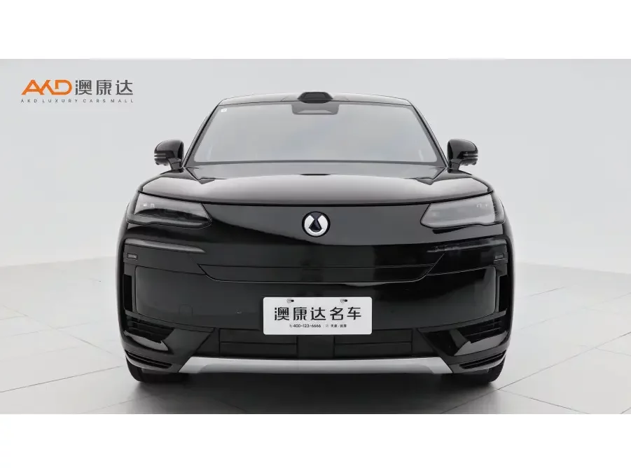Denza Tengzhong N9 DM