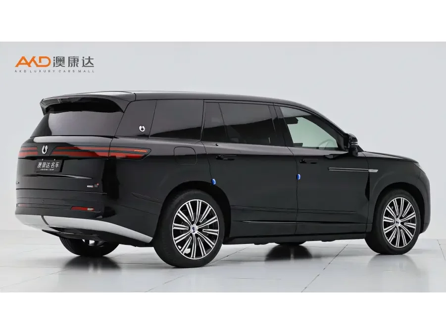 Denza Tengzhong N9 DM