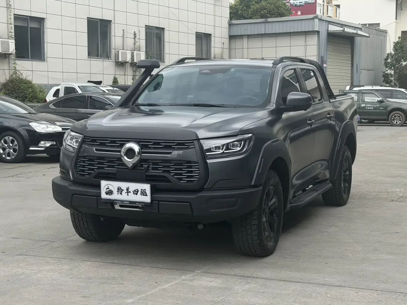 Great Wall Poer (gun)  из Китая