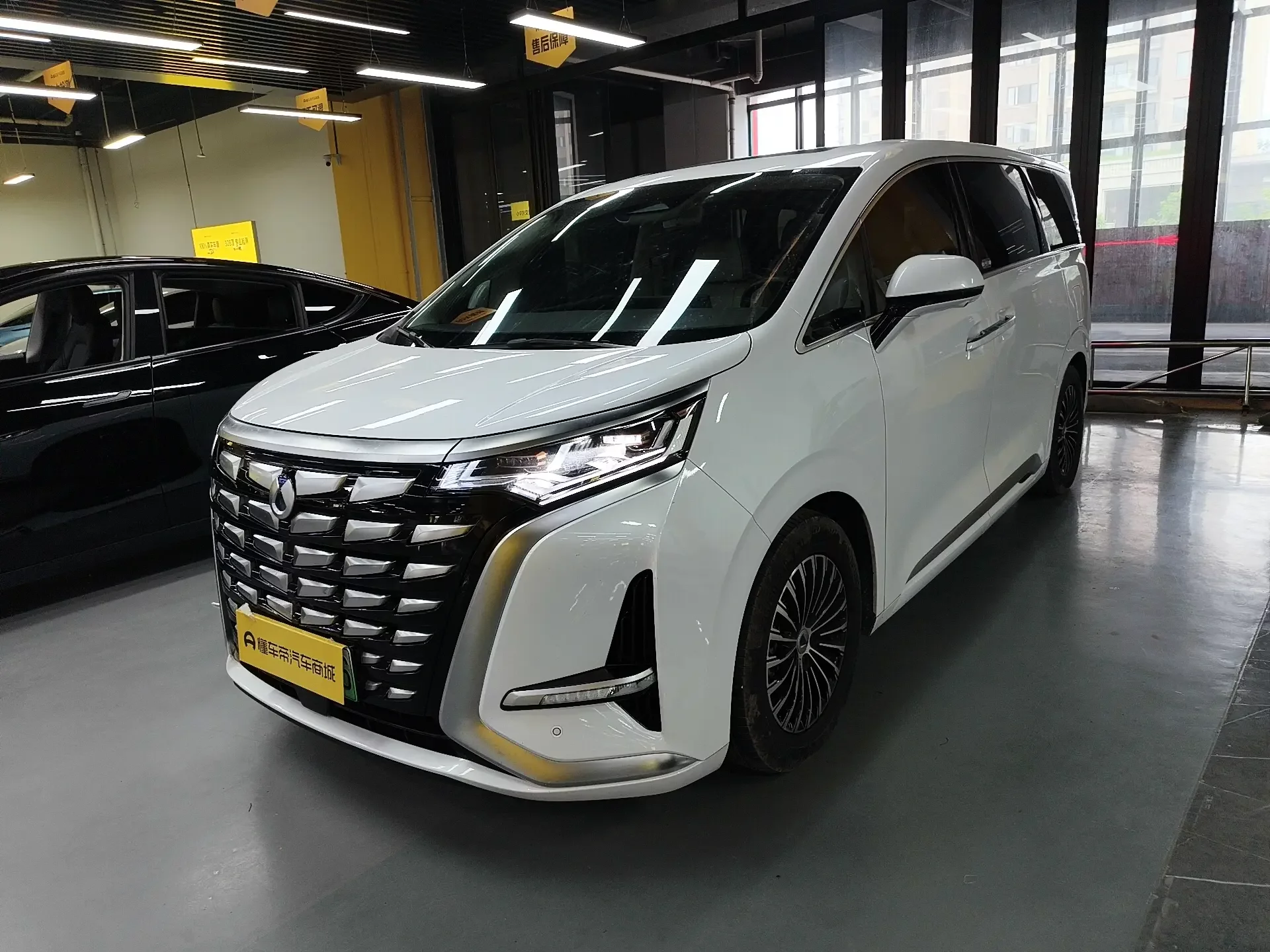 Denza D9 DM