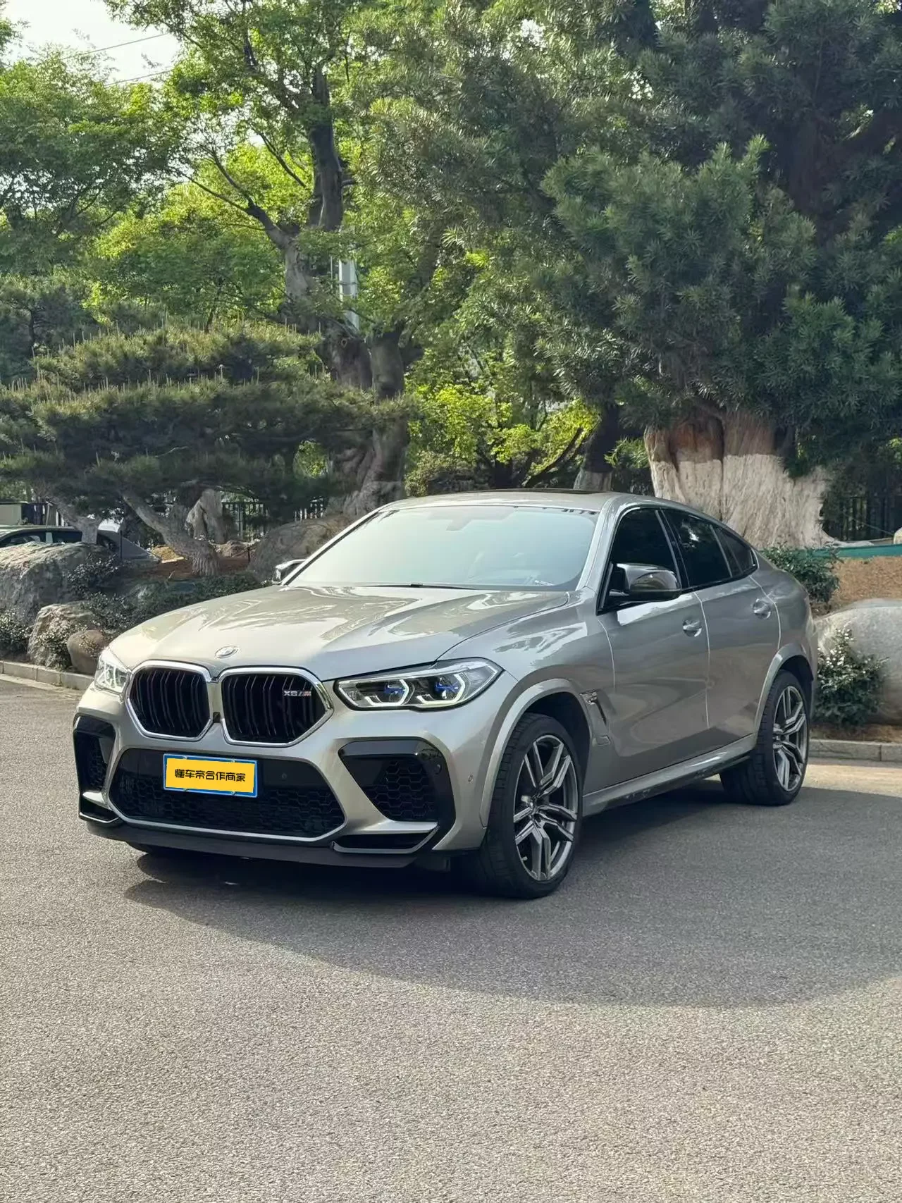 BMW X6 M  из Китая