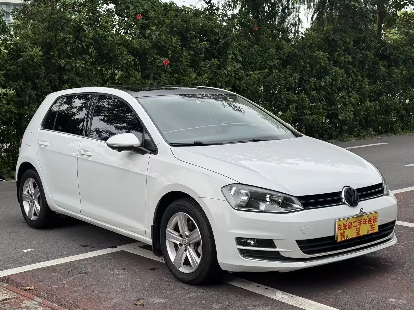 Volkswagen golf