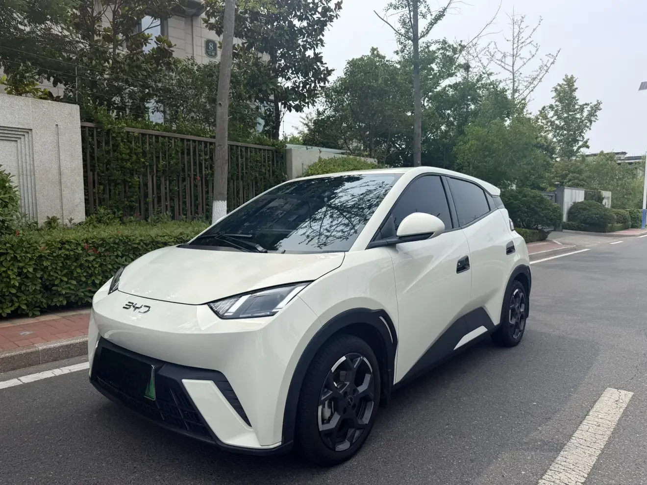 BYD seagull