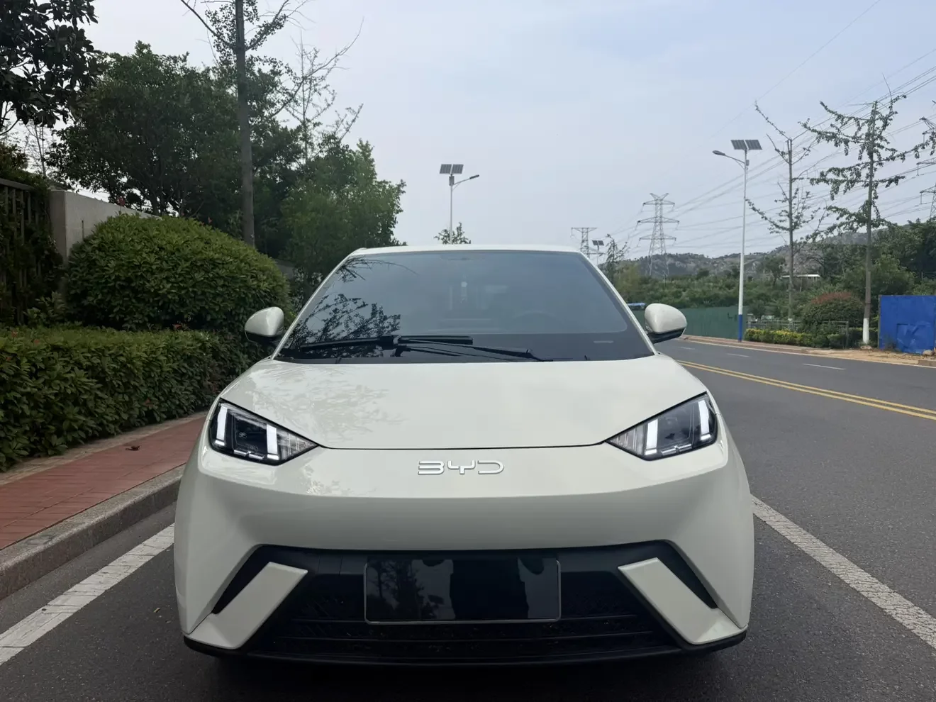 BYD seagull