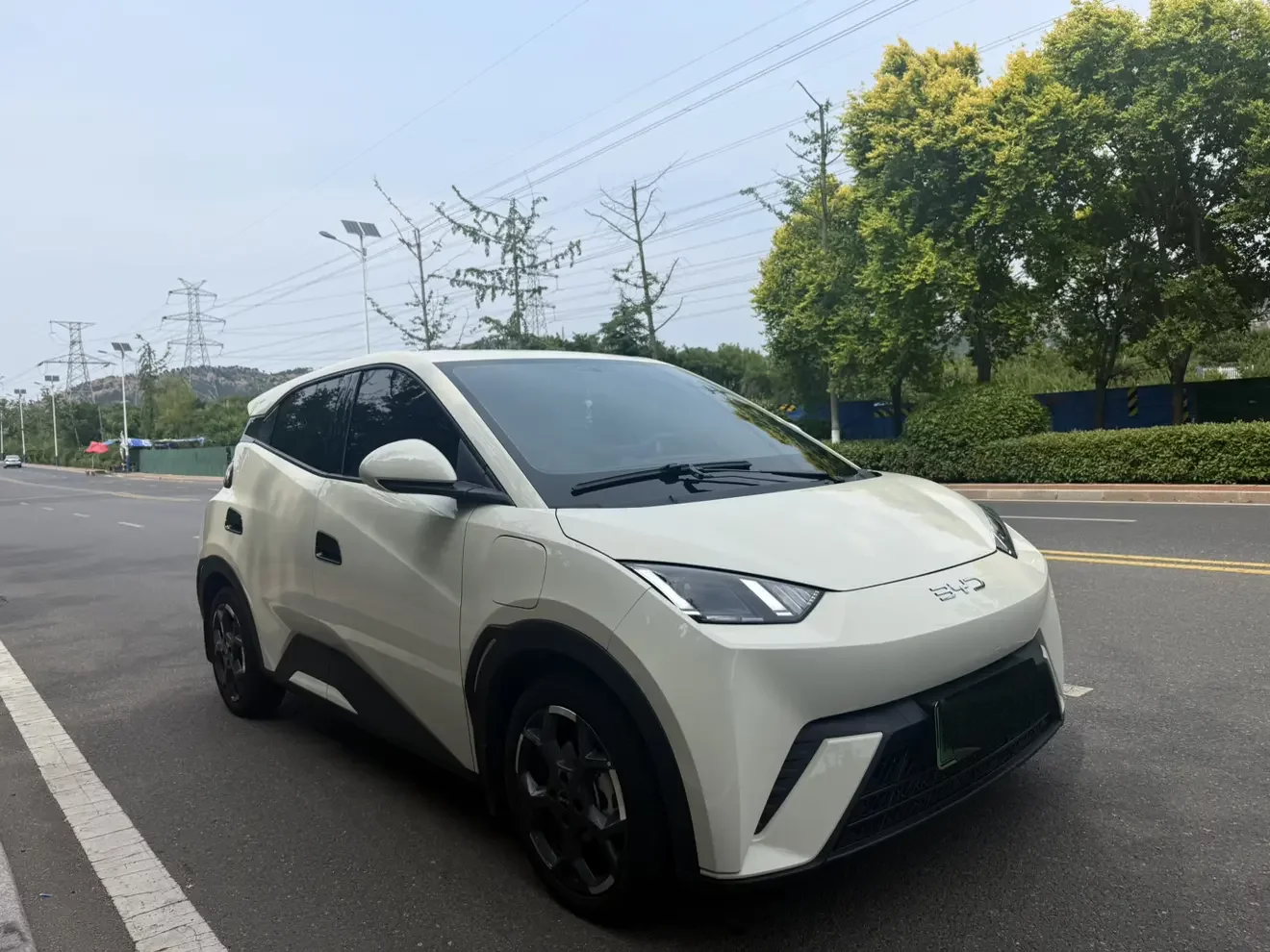 BYD seagull