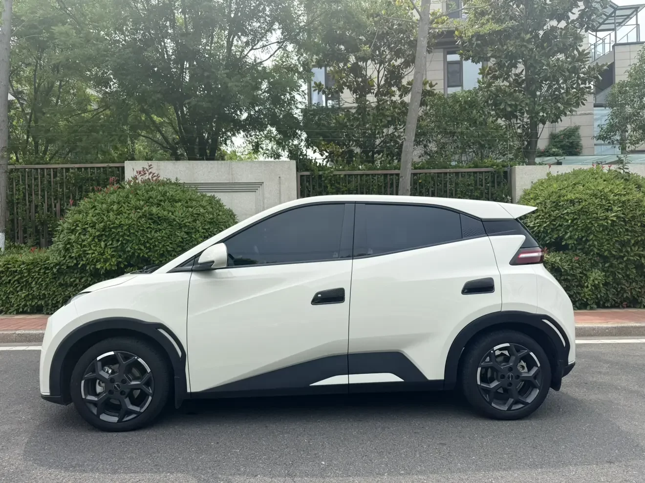 BYD seagull