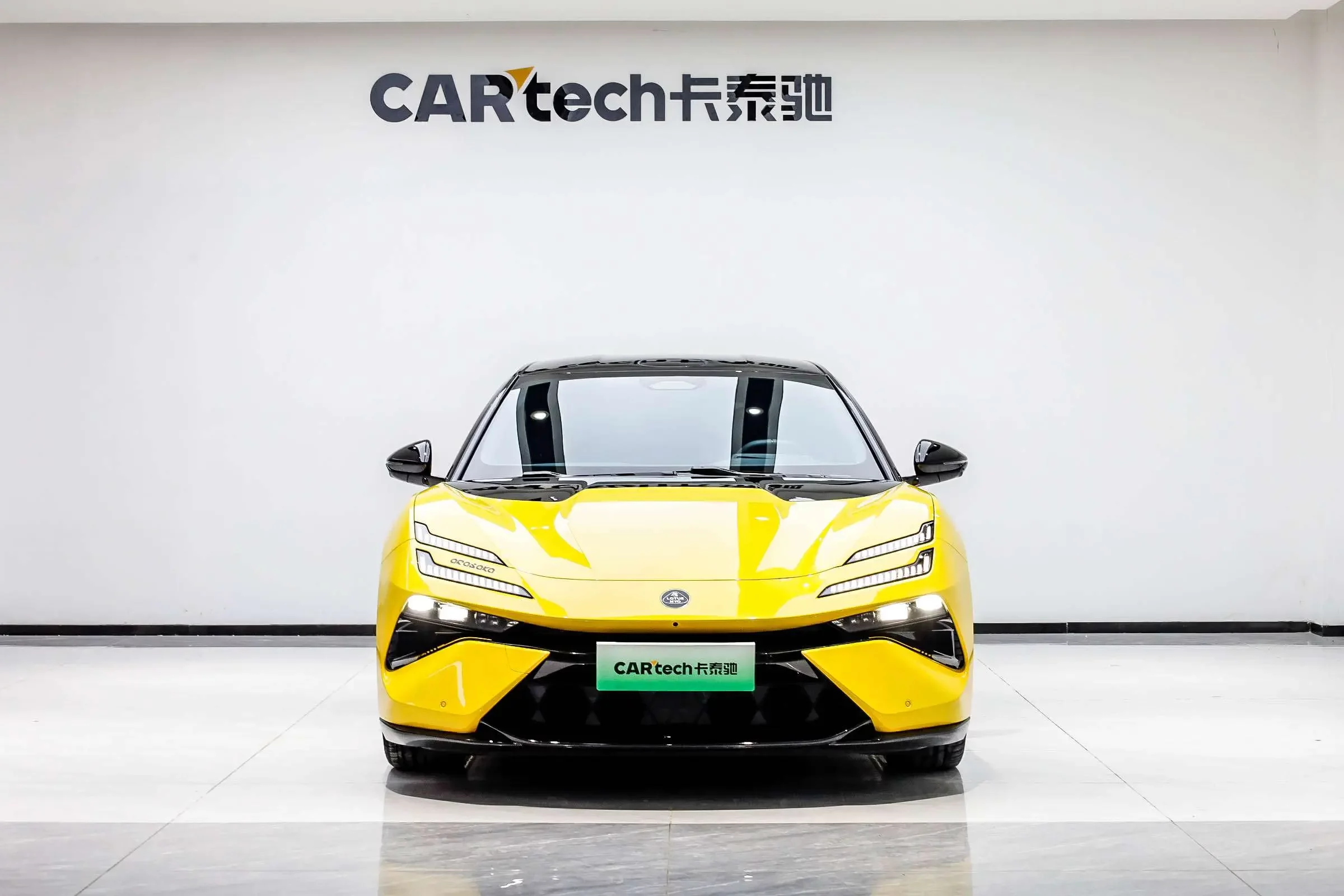 Lotus Emeya