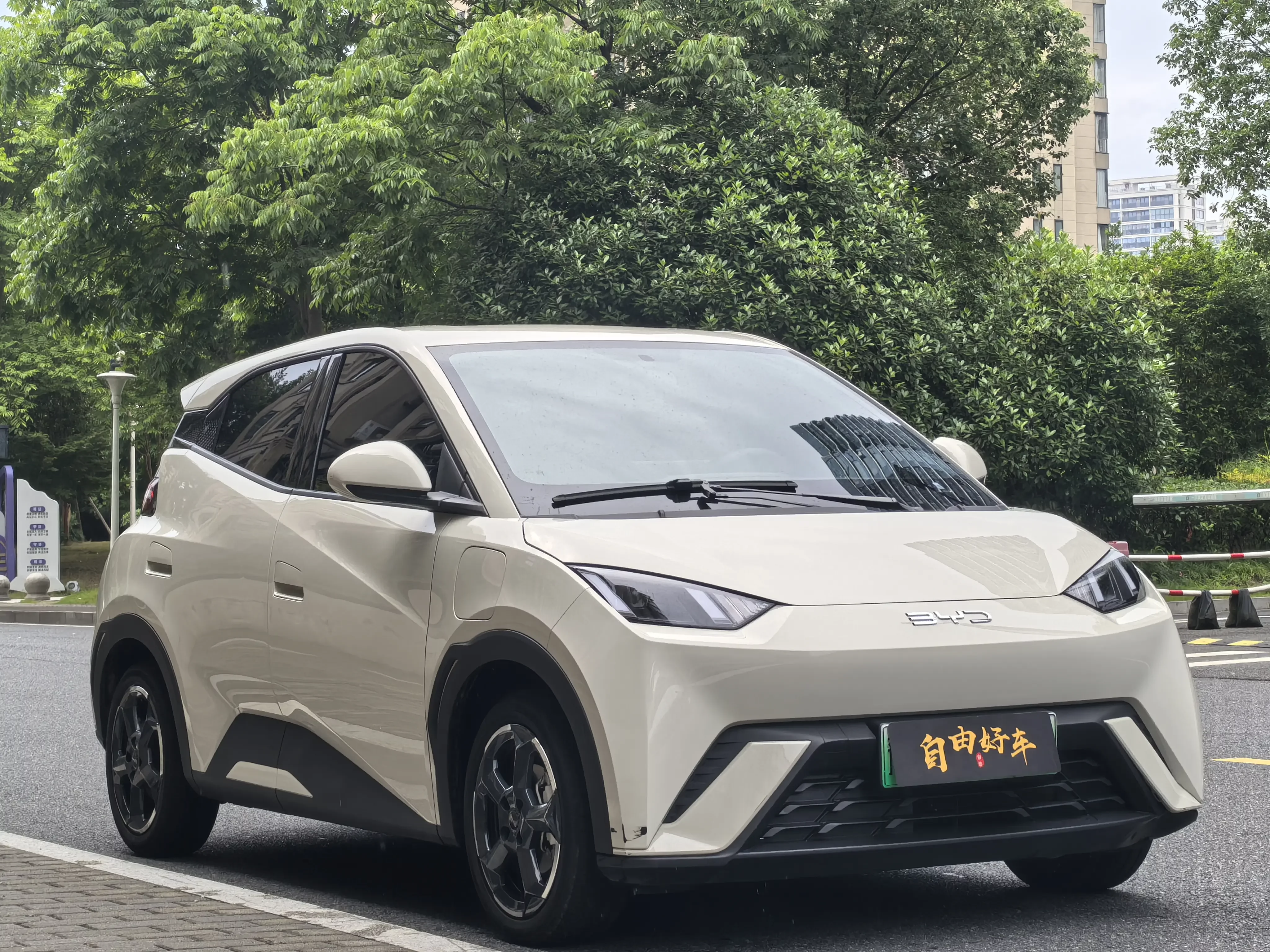 BYD seagull