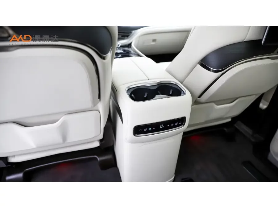 Denza D9 DM