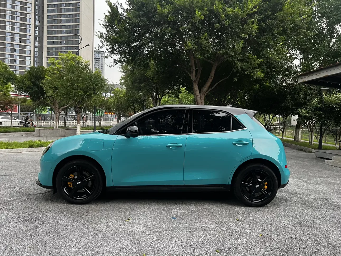 ORA Euler Good Cat GT