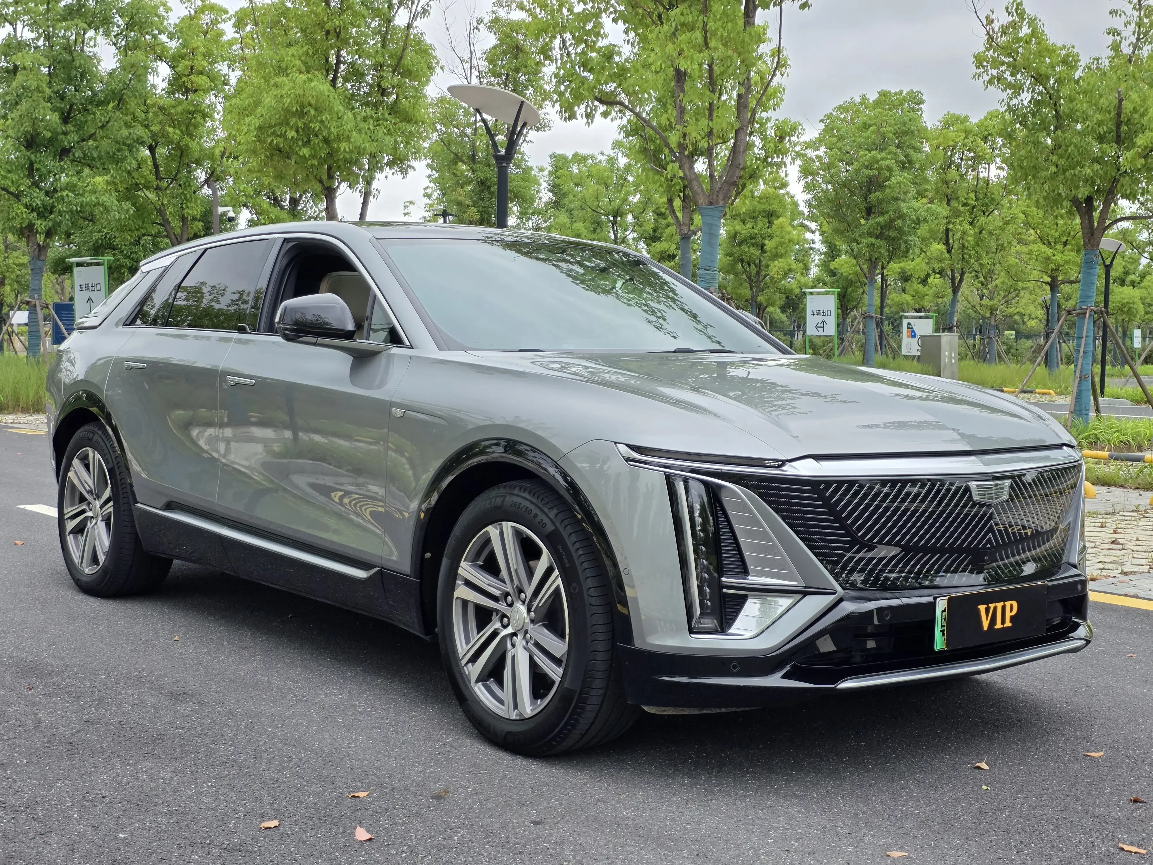 Cadillac IQ Ruige