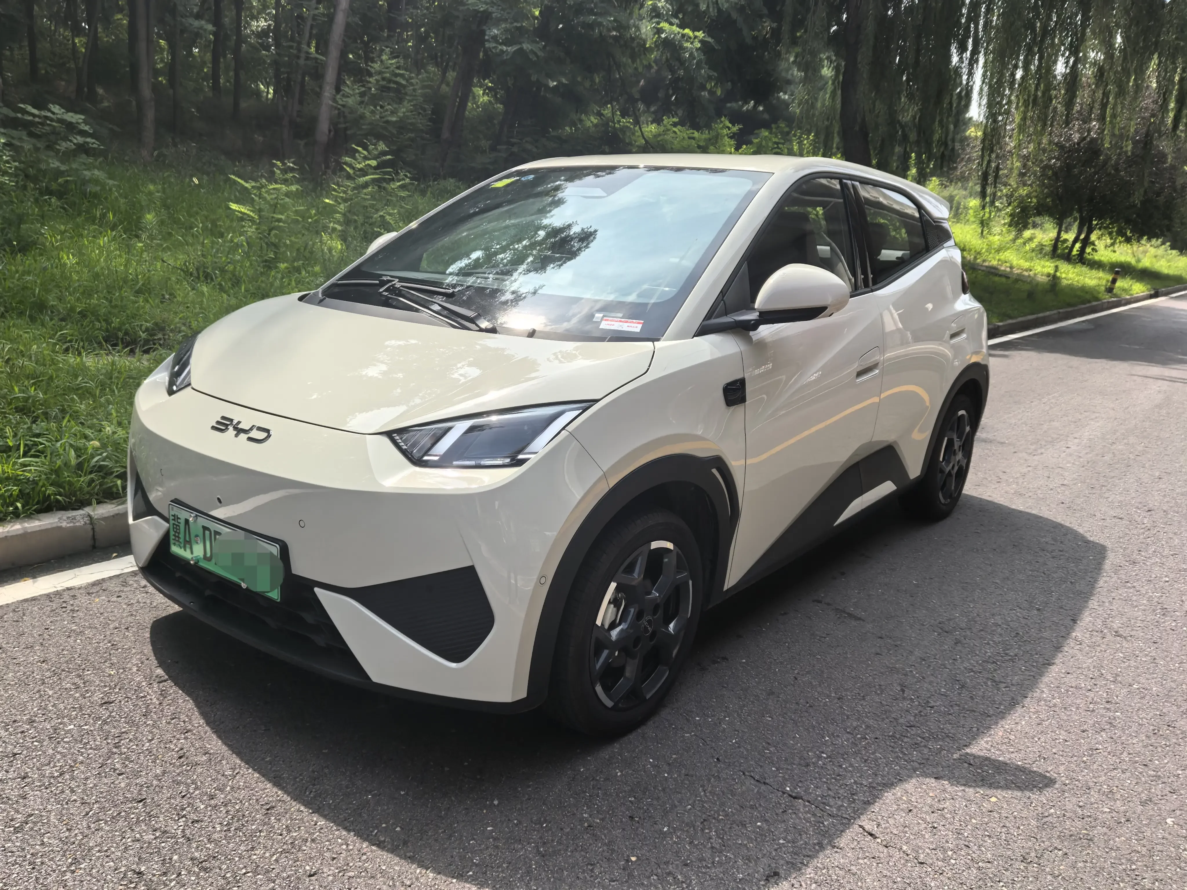 BYD seagull