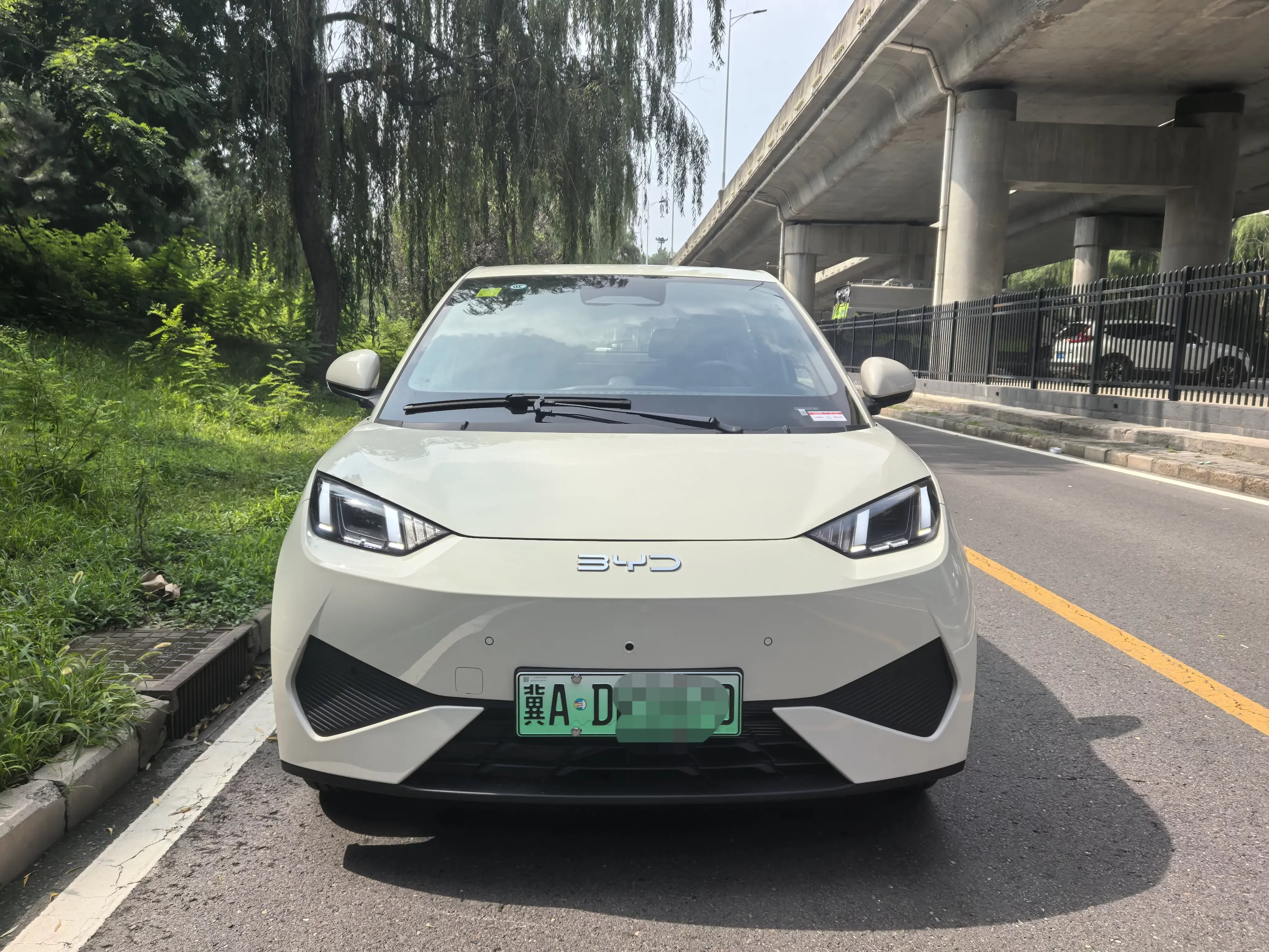 BYD seagull