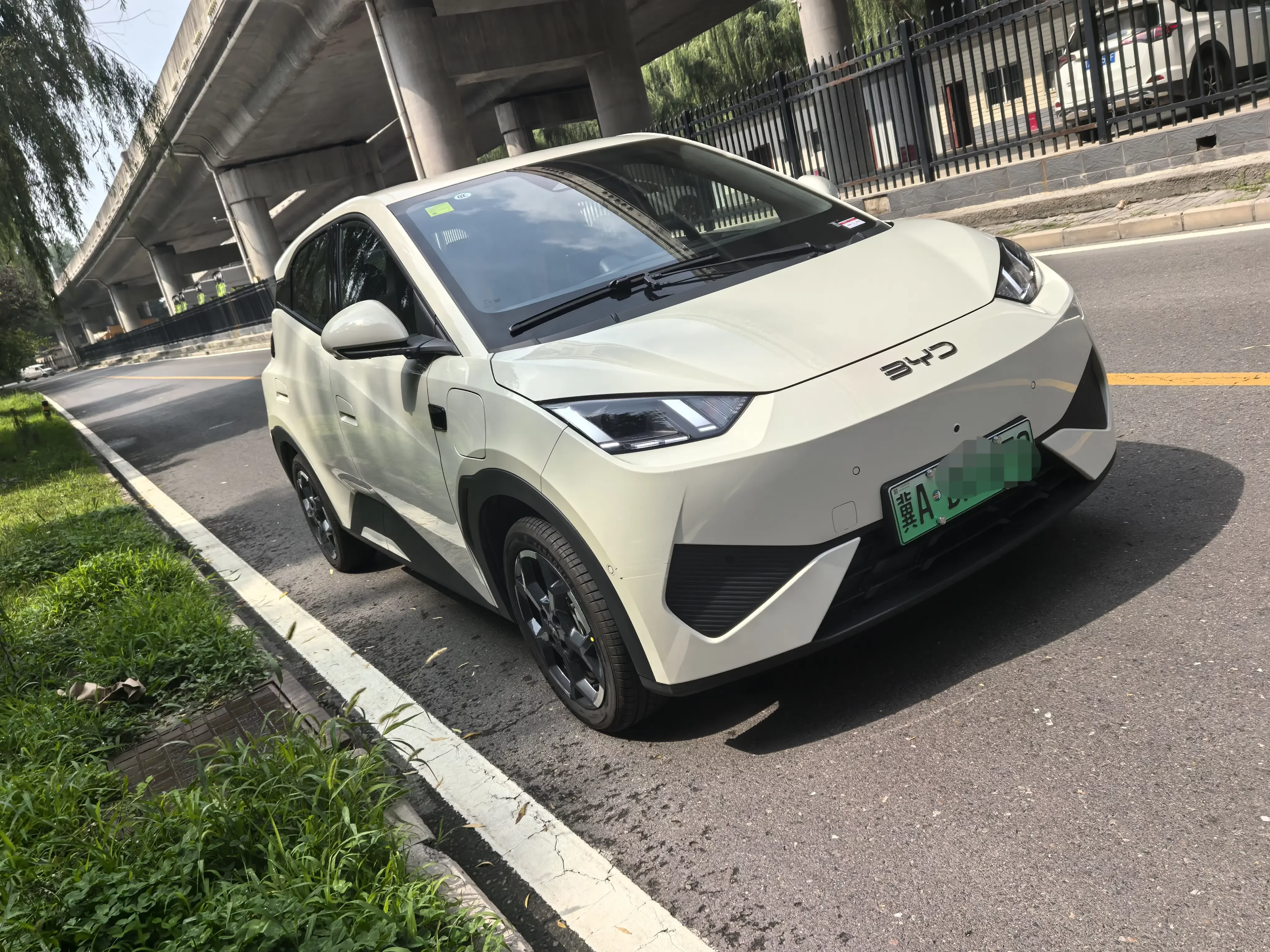 BYD seagull