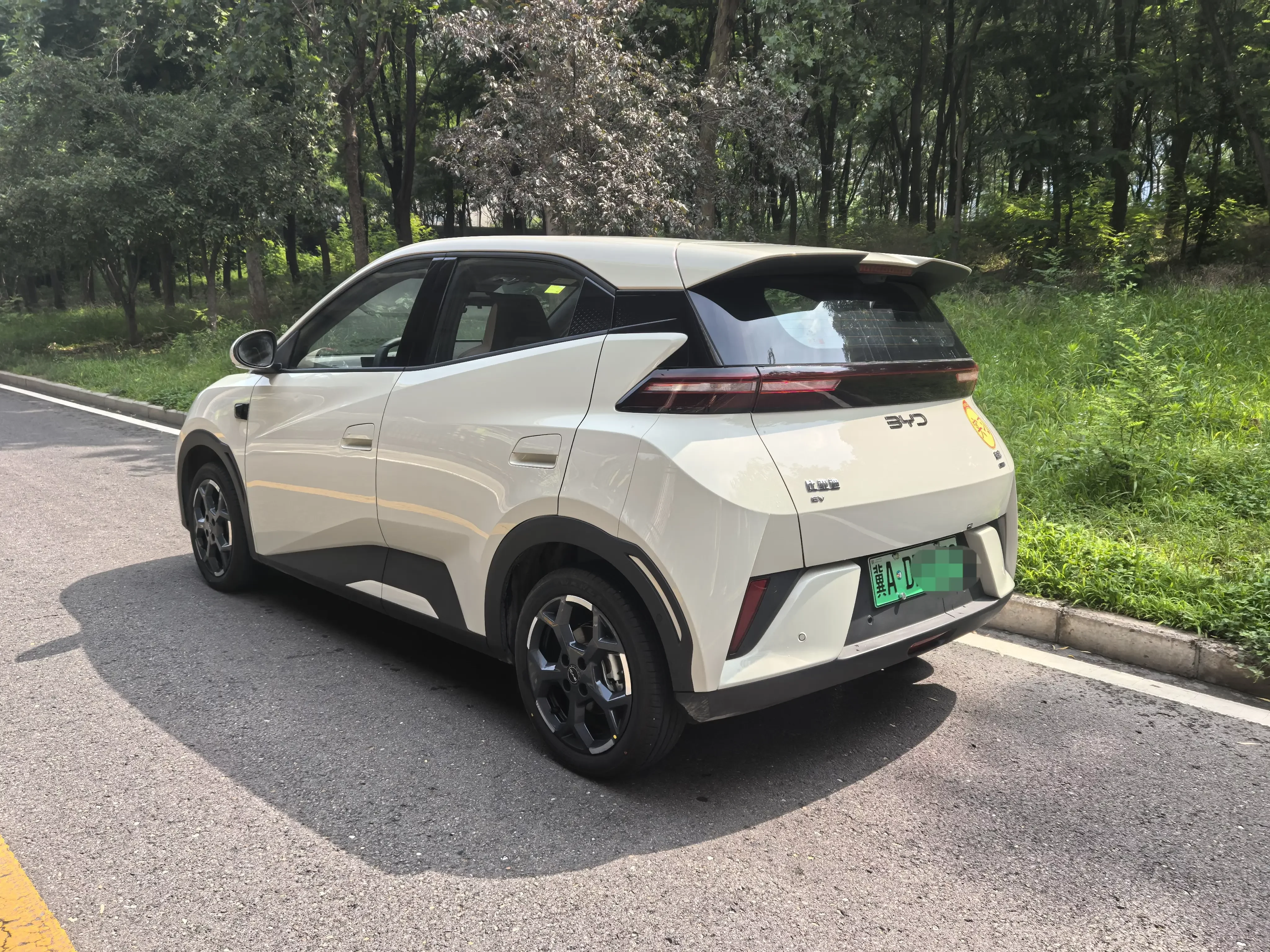 BYD seagull