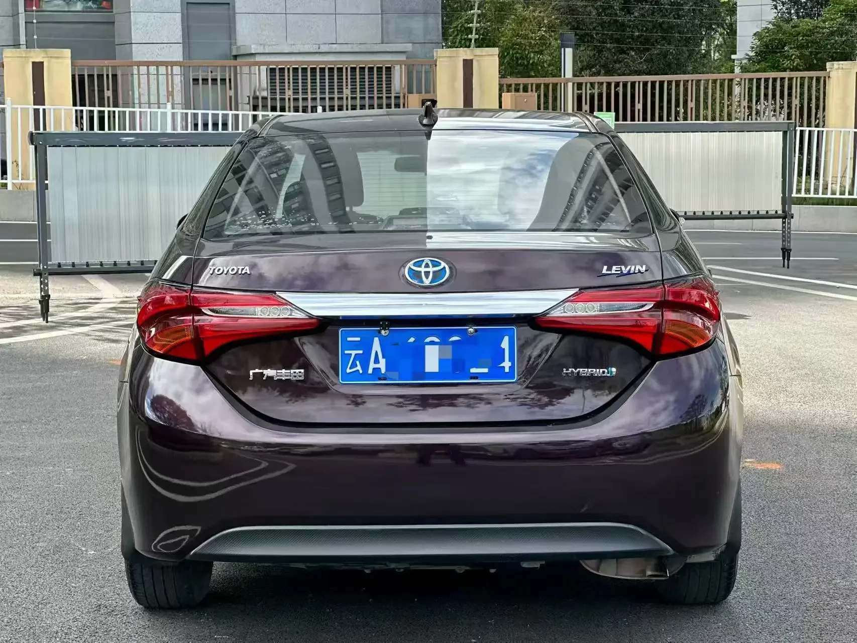 Toyota Levin